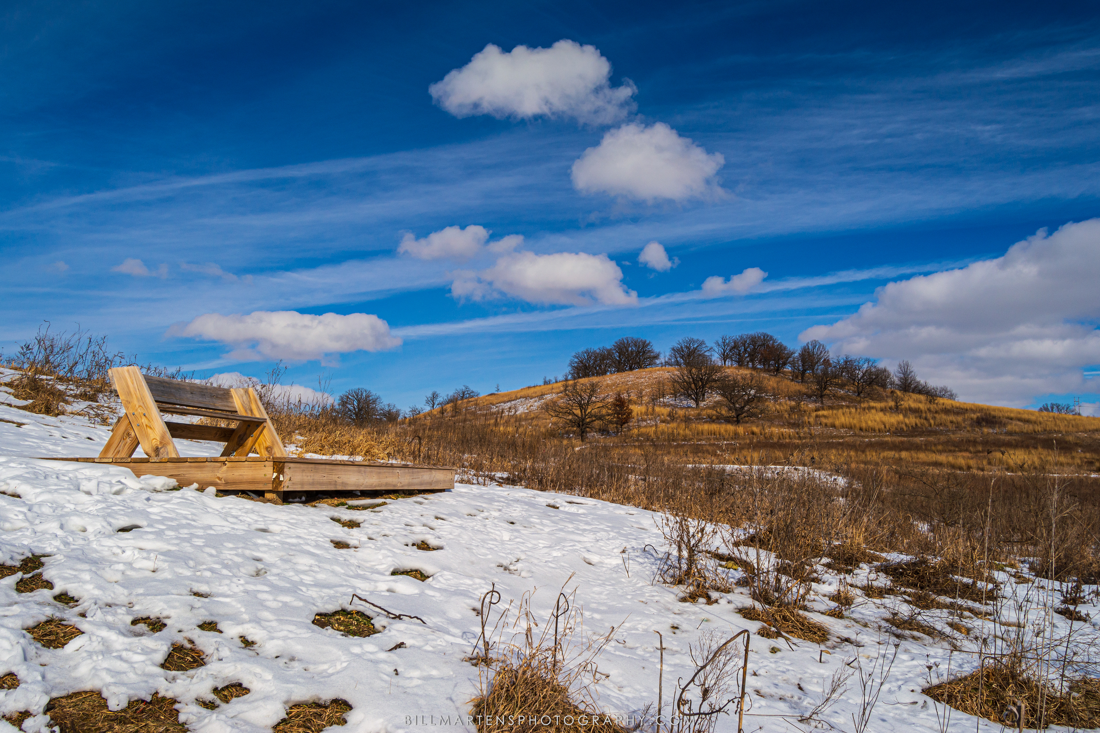 Pheasant Branch Conservancy, Middleton, Wisconsin - January 2016