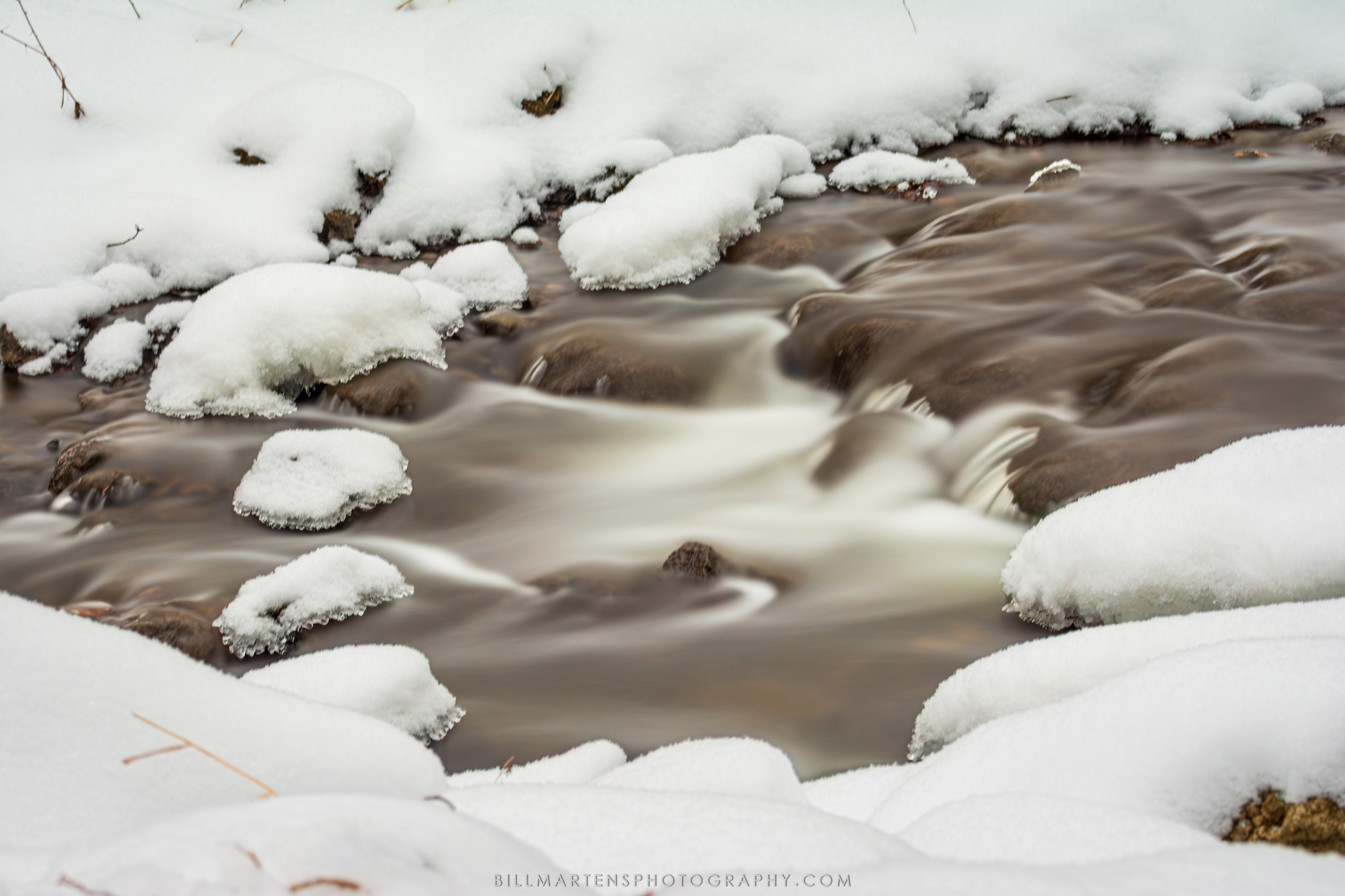 Pheasant Branch Conservancy, Middleton, Wisconsin - January 2026