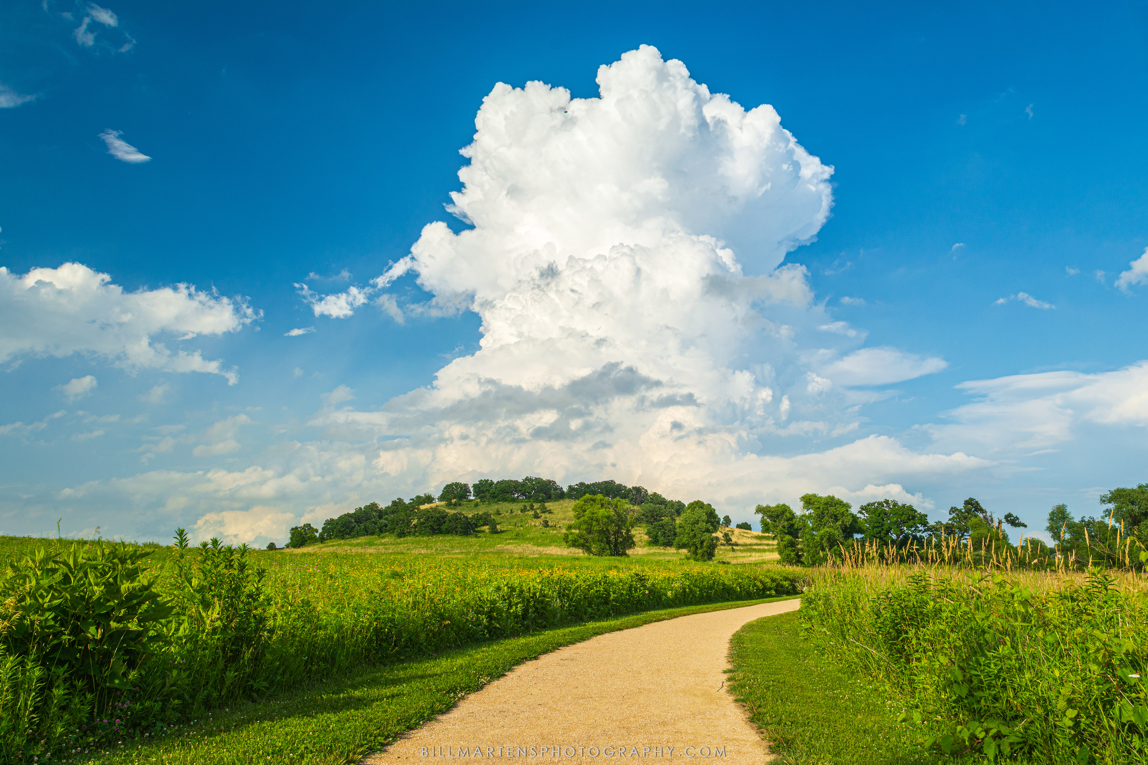 Middleton, Wisconsin - June 2025
