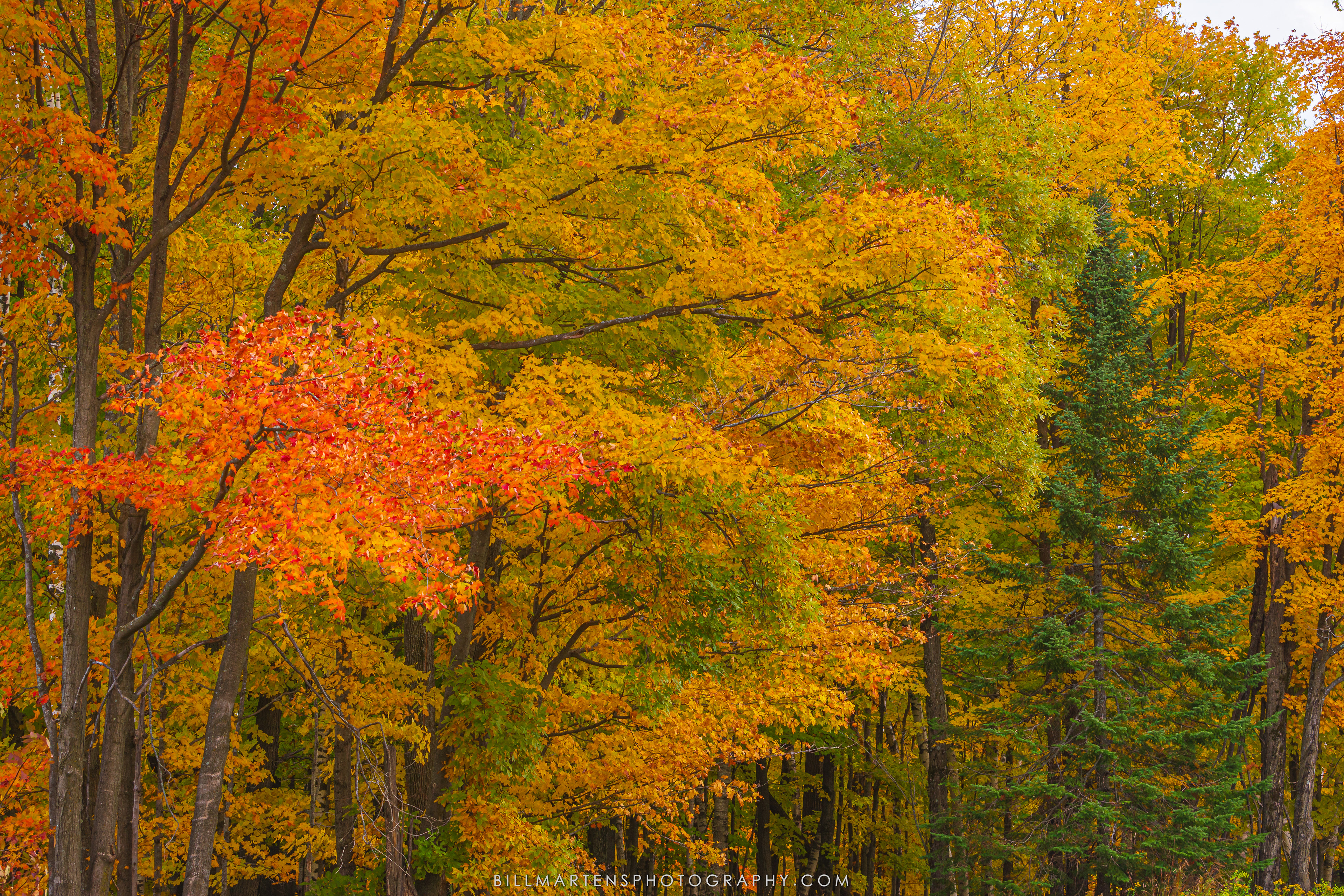 Rib Mountain, Wisconsin - October 2020