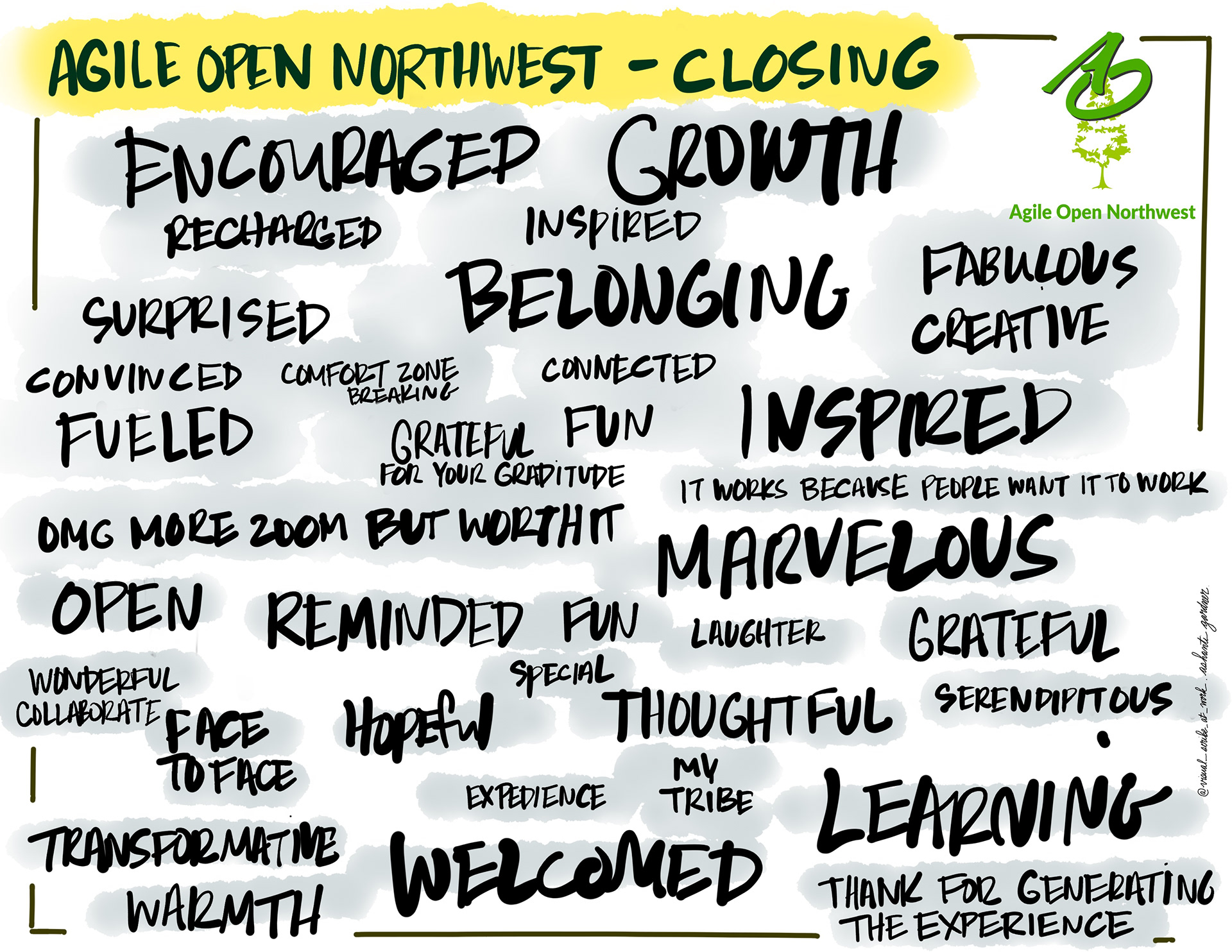 VISUAL SCRIBING