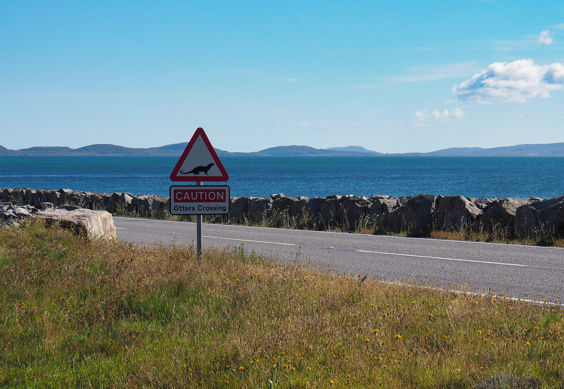 “Otters crossing”, and indeed they did.