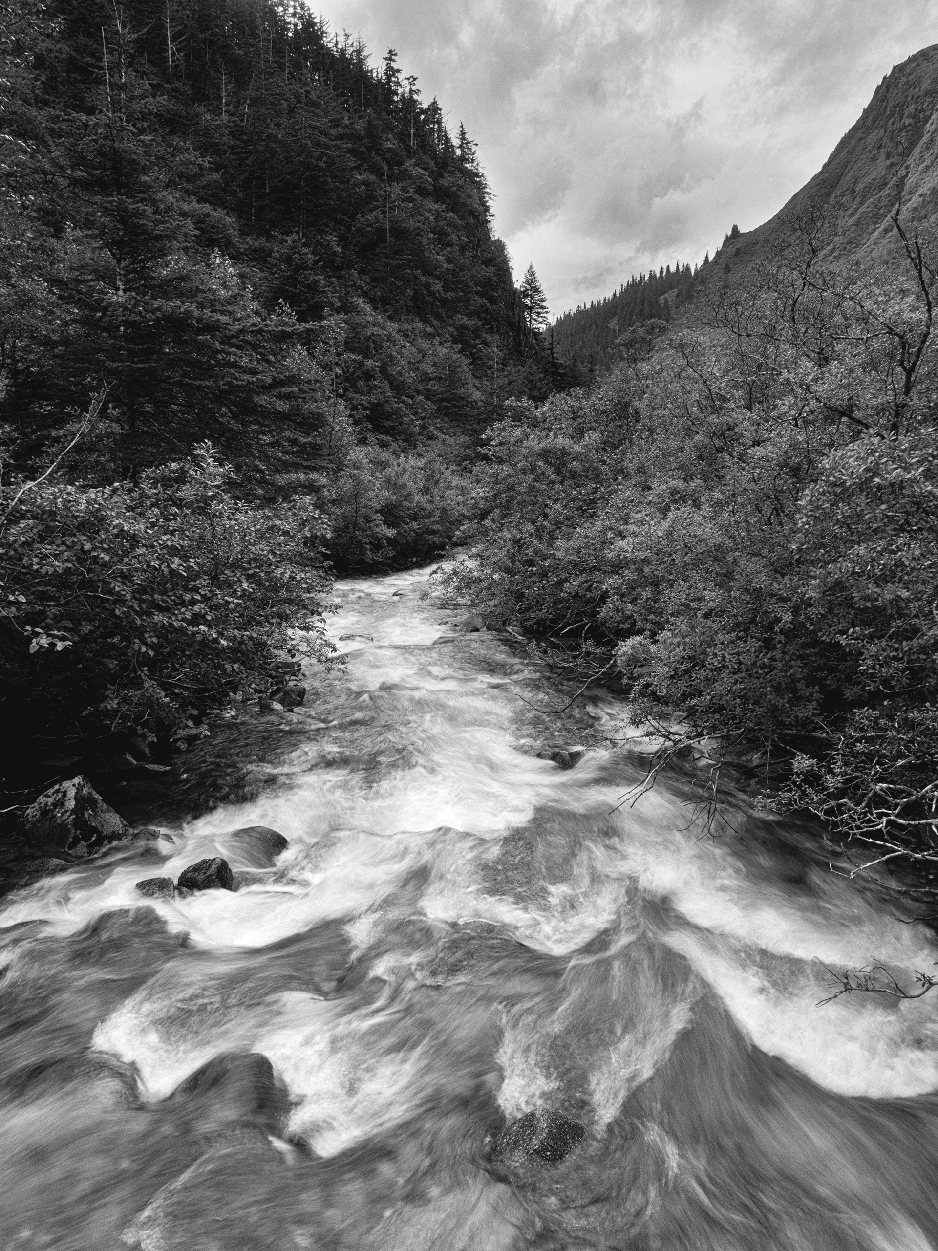 Free river / 2018