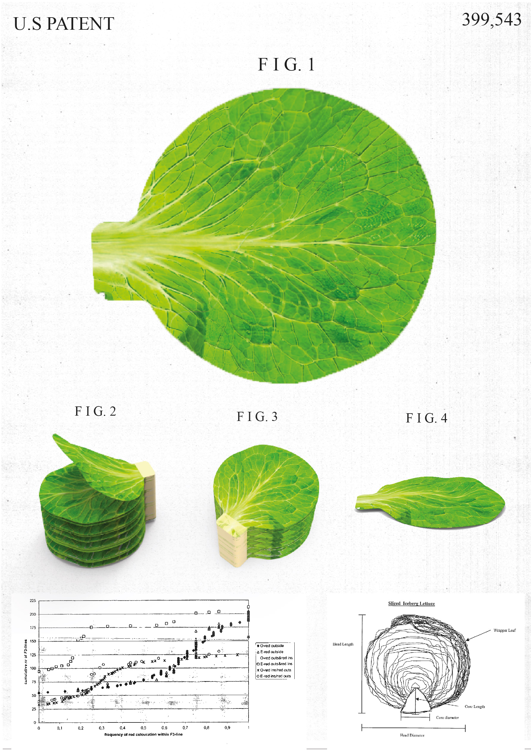A Convenient Ready-Made Lettuce Pad