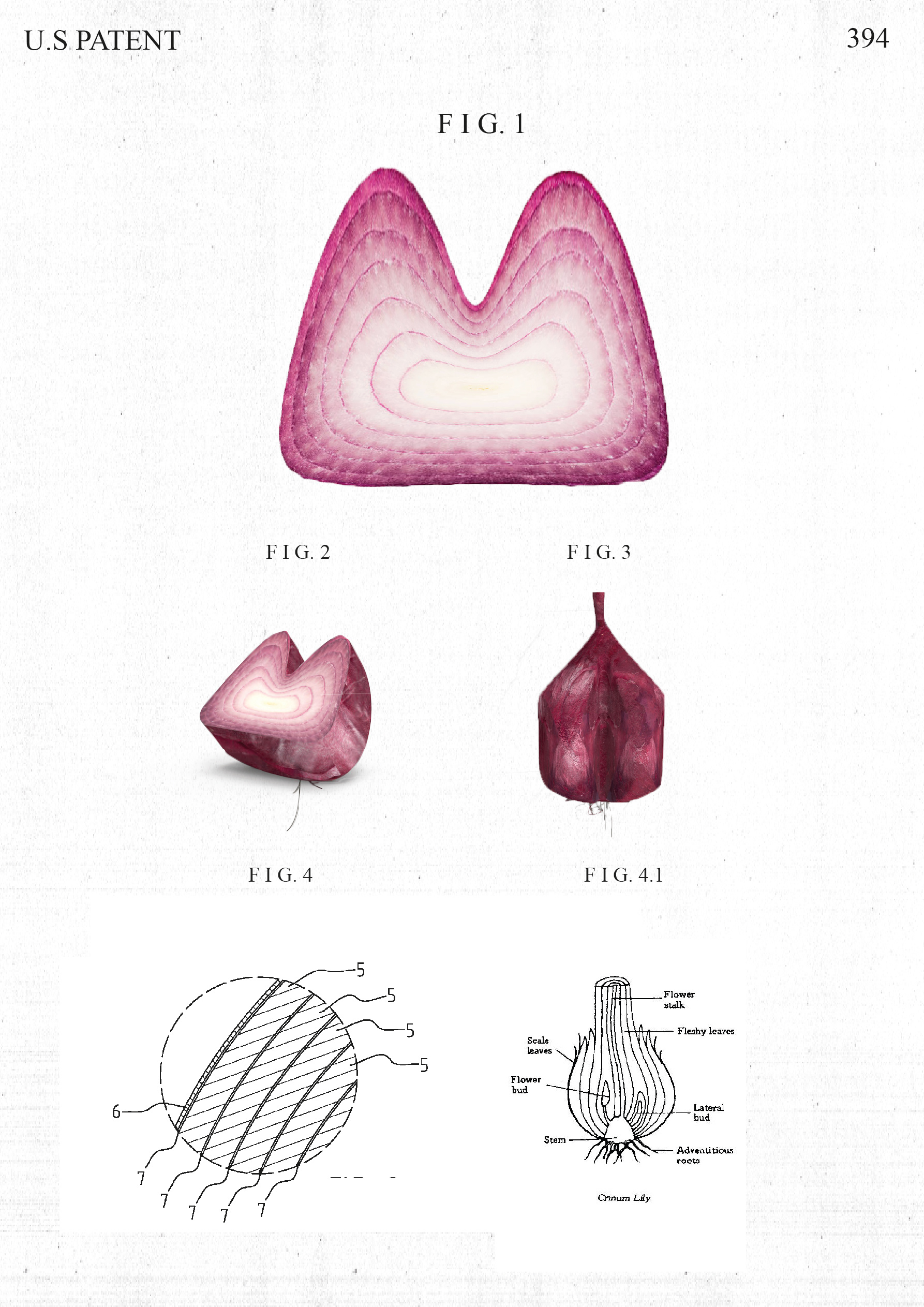 M-shaped onions enhancing the McDonald's brand