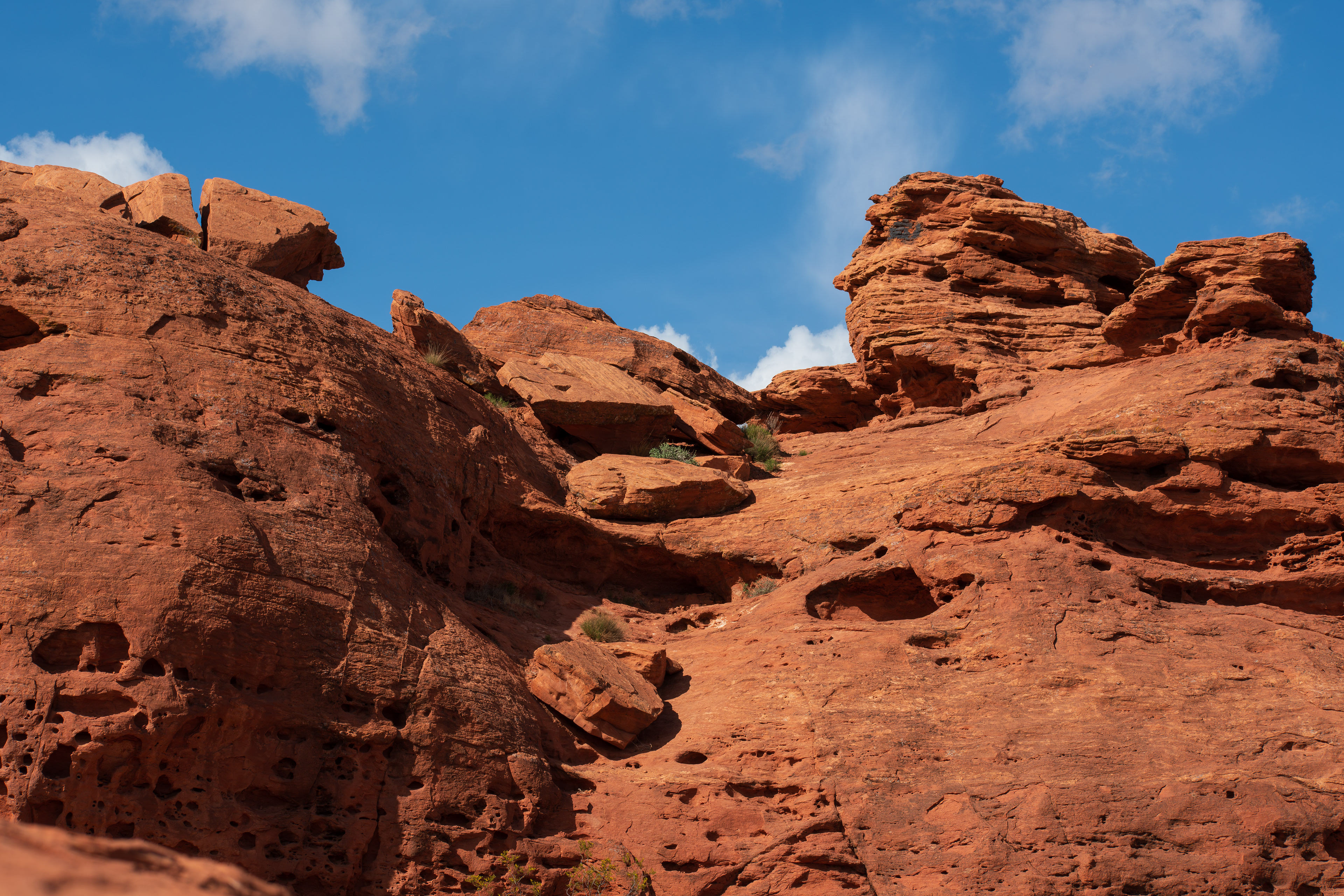 ST. GEORGE, UTAH, USA – MAY 5, 2025: Natural sandstone formations and arid terrain at Pioneer Park, a scenic public space in St. George, Utah, known for its red rock landscapes and hiking trails.