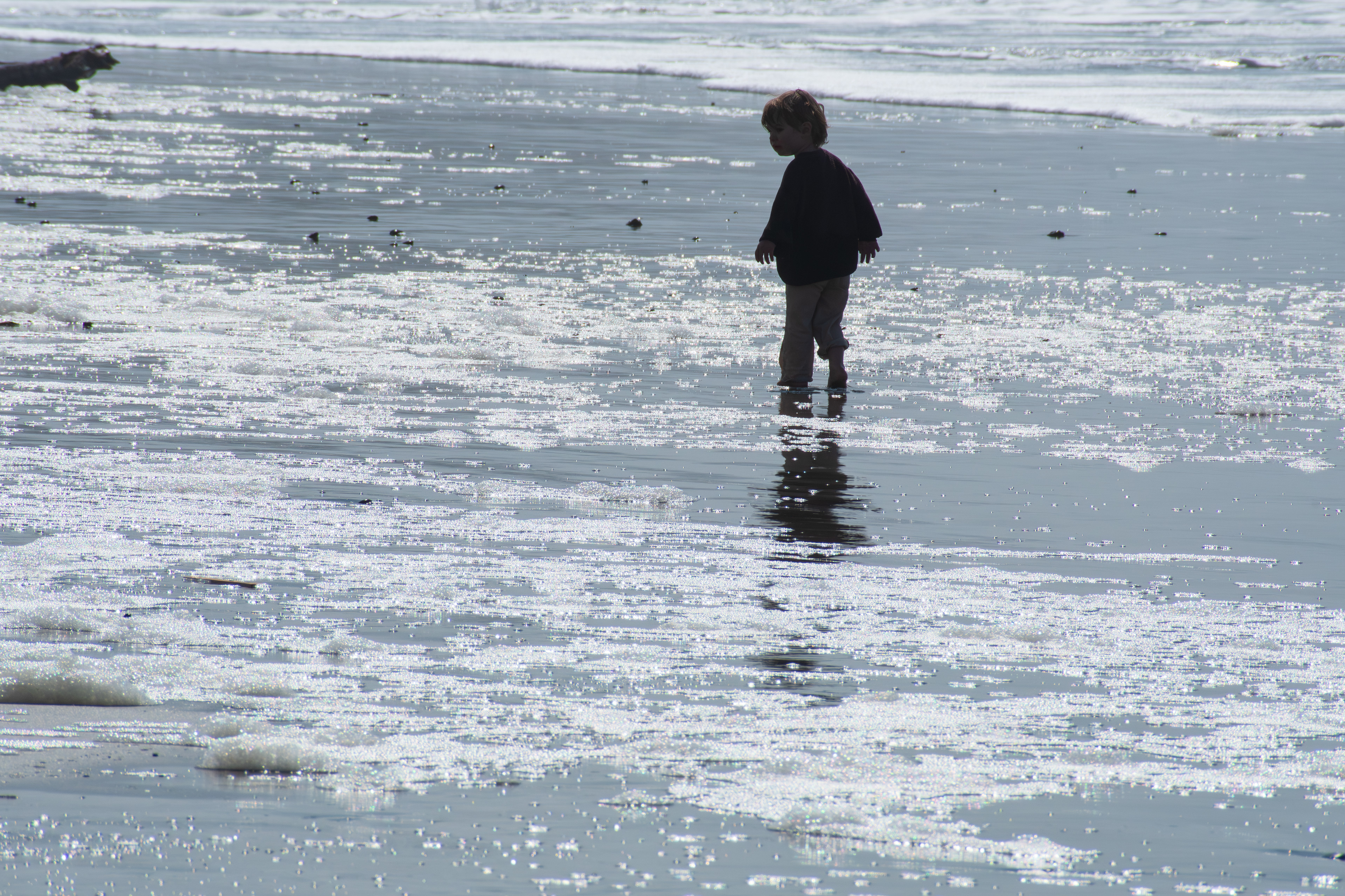 CANNON BEACH, OR - APRIL 12: A young child walks through reflective surf foam along the shoreline at Cannon Beach on April 12, 2025, in Cannon Beach, Oregon. Spring weather brought clear skies and mild temperatures to the Oregon coast, attracting visitors to its scenic beaches. 