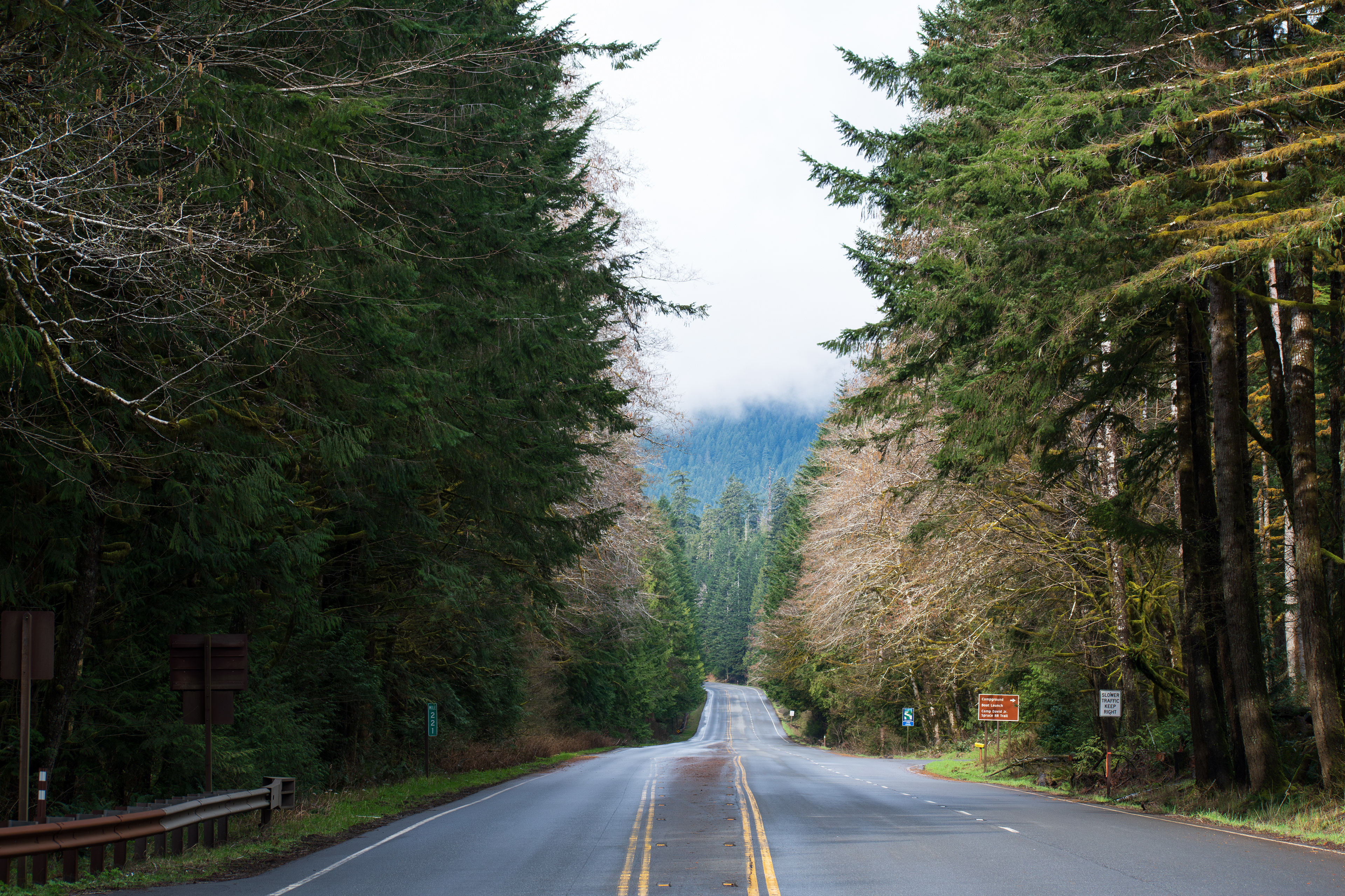 PORT ANGELES, WA, USA - APR 12, 2025: Empty U.S. Route 101, or U.S. Highway 101 running through the middle of Hoh Rain Forest in Olympic National Park on the Olympic Peninsula of Washington state. 