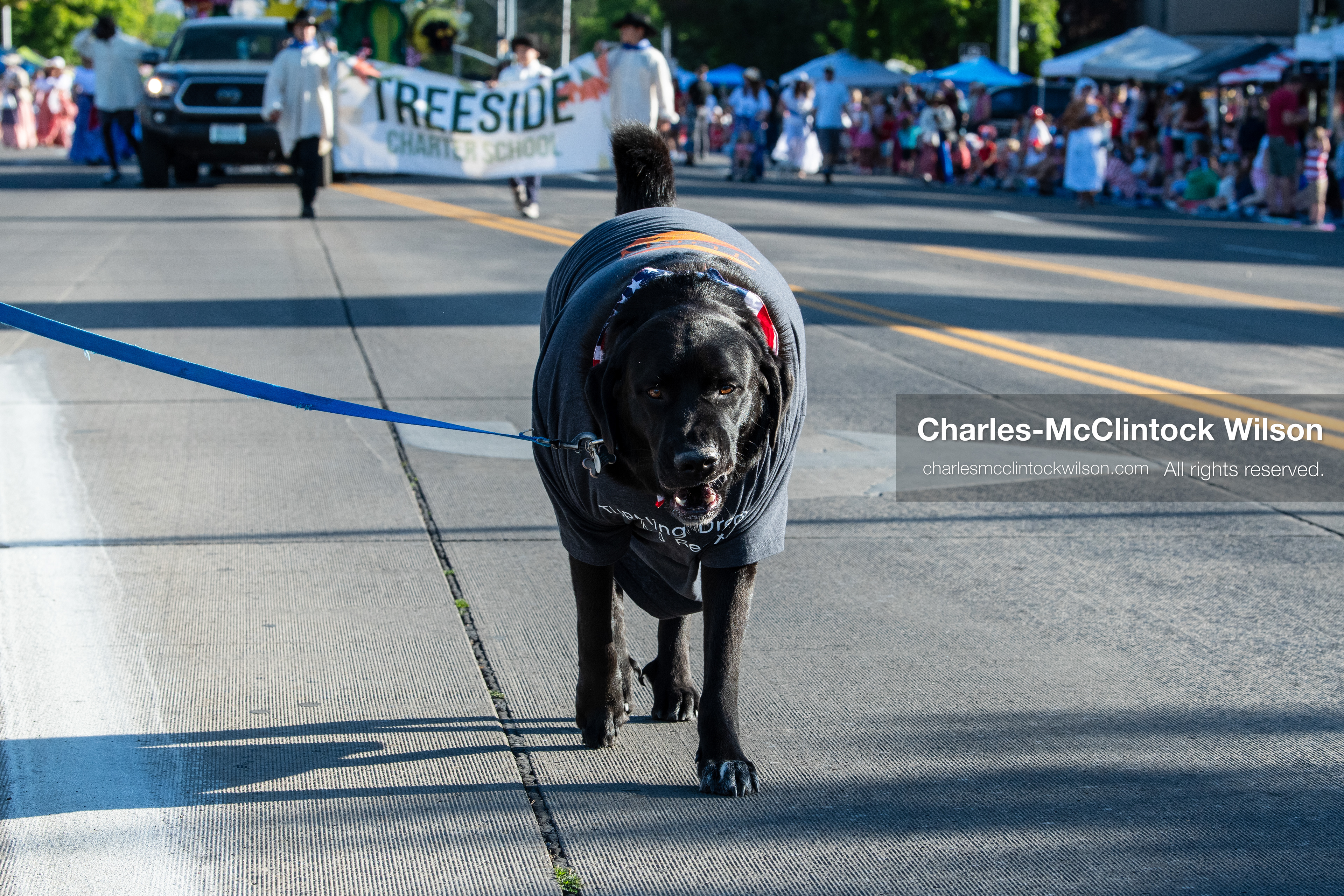 July 4, 2026, Provo, Utah, USA: A black dog wearing a costume walks on a leash down the street ahead of a banner for Treeside Charter School during America's Freedom Festival Grand Parade in Provo, Utah, Saturday, July 4, 2026. The annual Independence Day event features expanded programming to honor the 250th anniversary of United States independence. (Credit Image: © Charles-McClintock Wilson/ZUMA Press Wire)