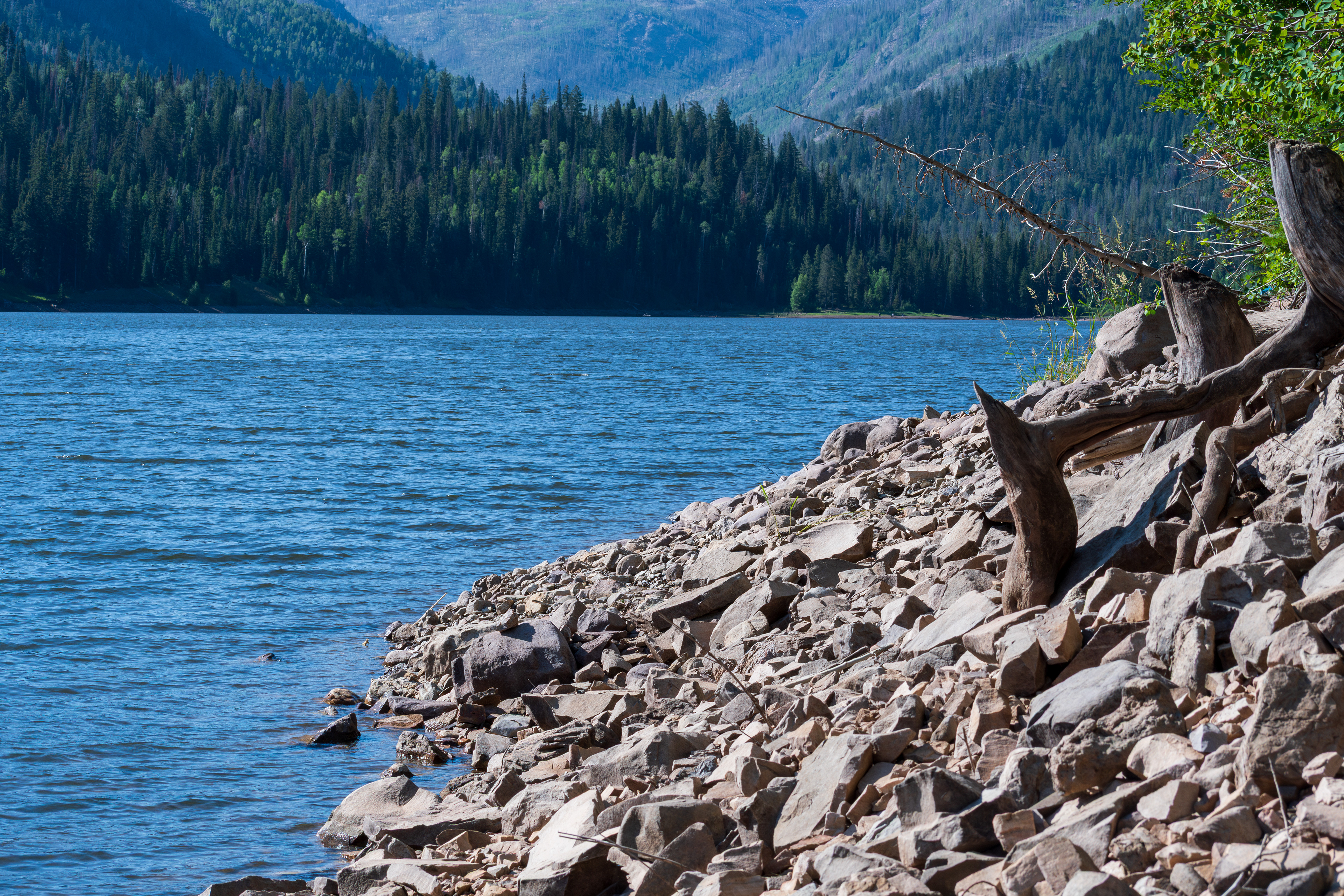 Summit County, Utah – July 20, 2025: A scenic view of Smith and Morehouse Reservoir with forested mountains rising in the background on a clear summer day.