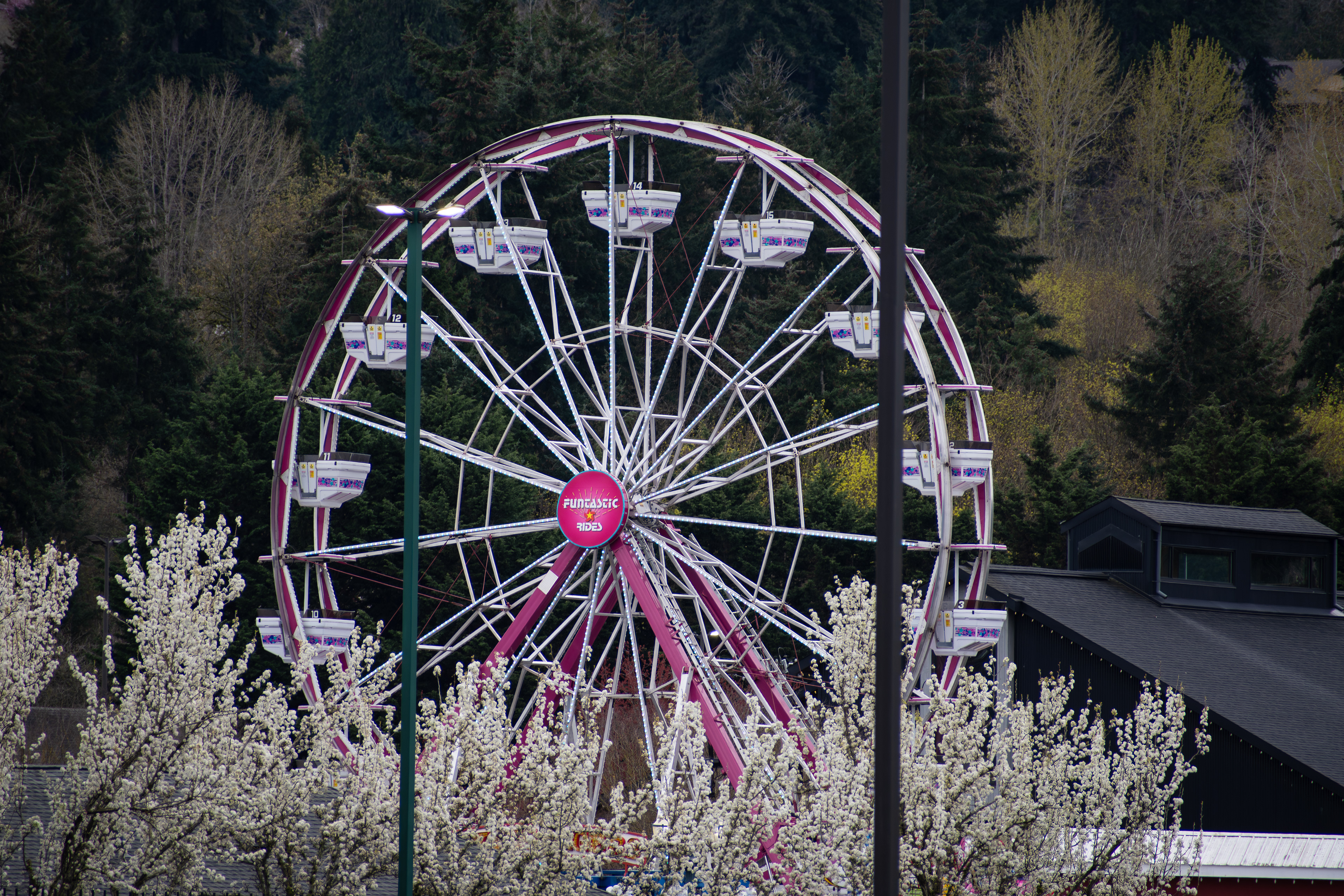 PUYALLUP, WA, USA - APR 12, 2025: Ferris wheel "Grand Wheel". at the Washington State Fair in Puyallup, Washington early in the morning. The fair is the largest single attraction held annually in WA.