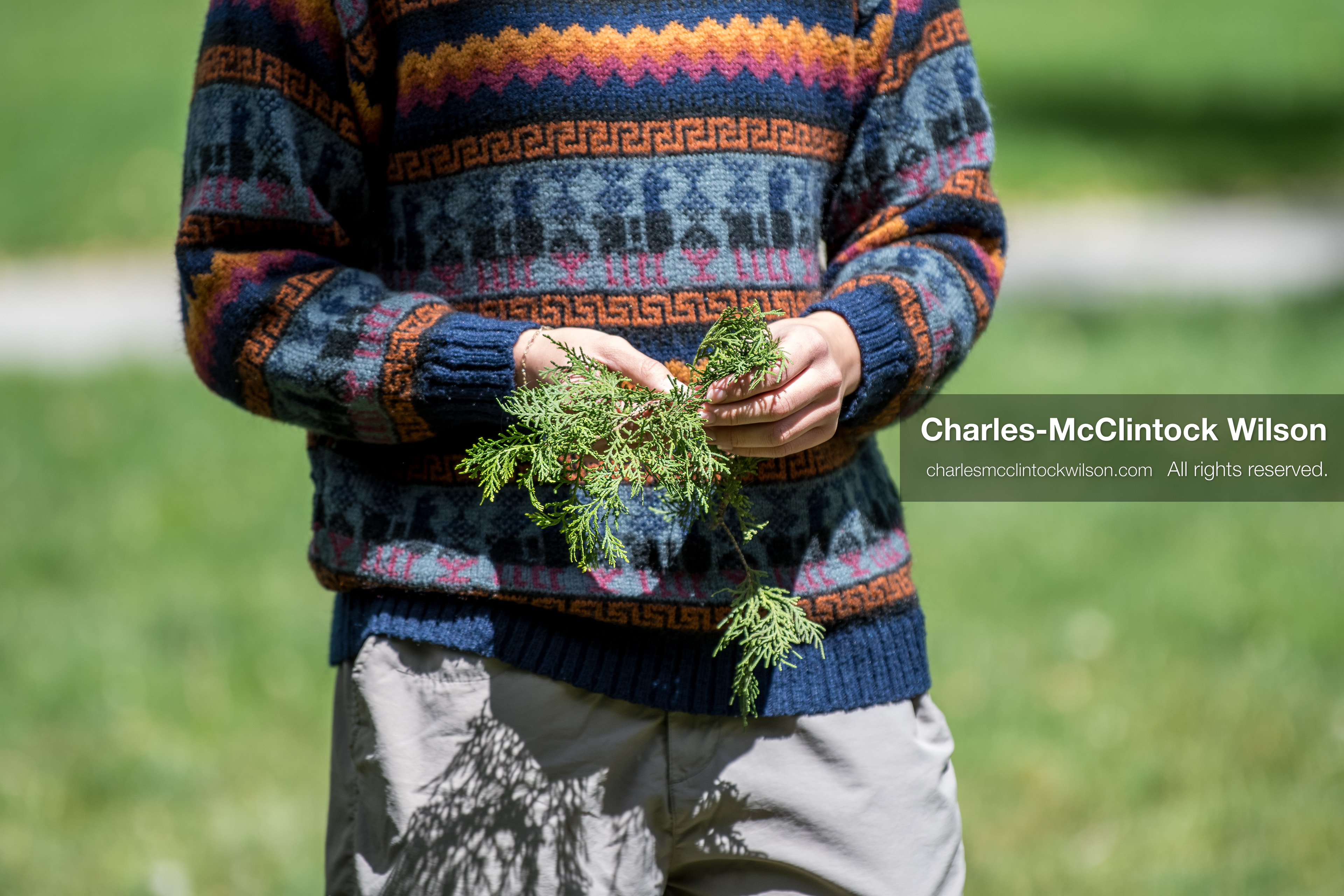 April 22, 2026, Salt Lake City, Utah, USA: A participant holds plant cuttings during an Earth Day event hosted by Sunrise University of Utah at the Salt Lake City and County Building. The gathering brought together students, community members, and speakers to highlight sustainability issues affecting Utah. (Credit Image: © Charles-McClintock Wilson/ZUMA Press Wire)
