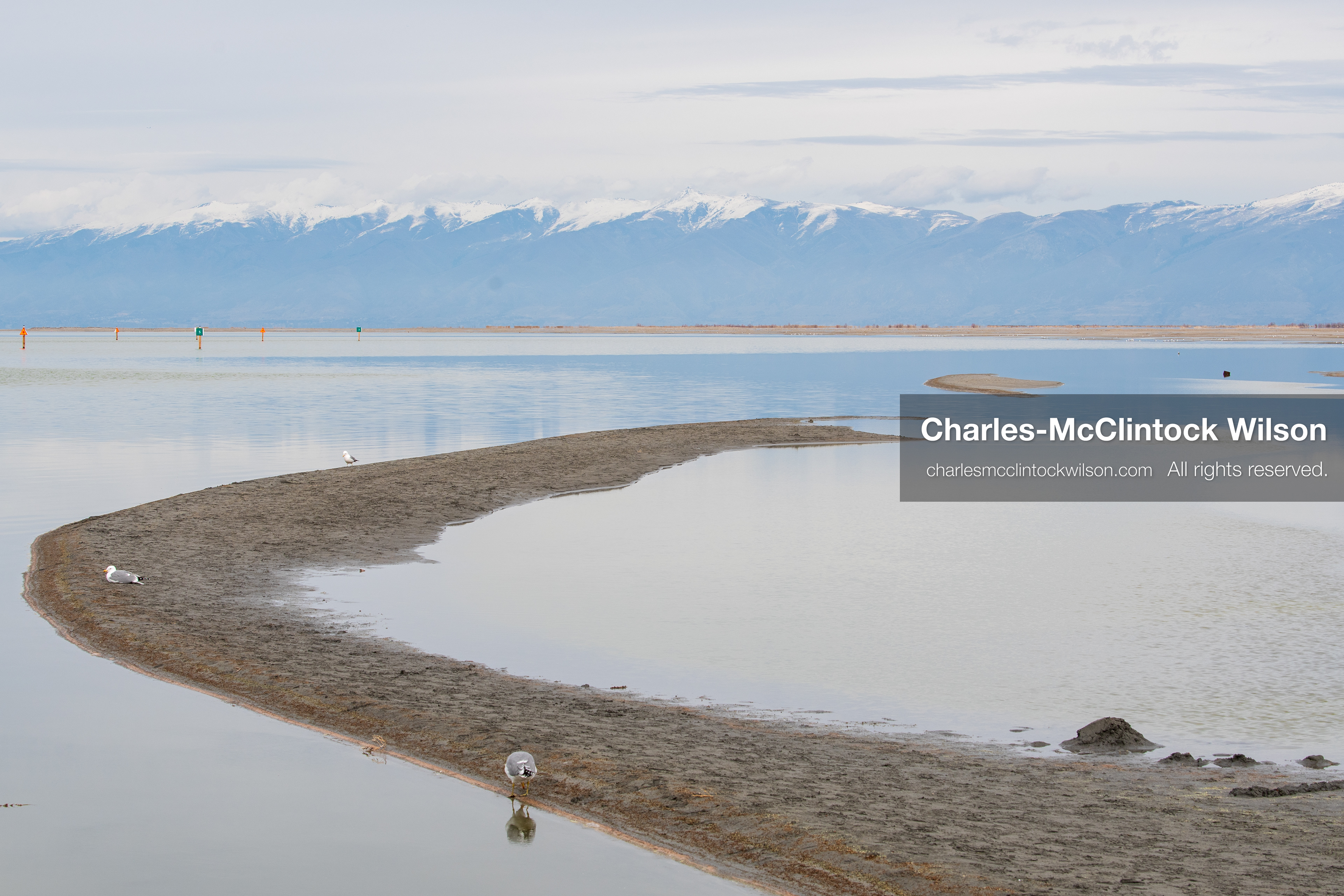March 1, 2026, Great Salt Lake, Utah, USA: Birds gather on a sandbar at the Great Salt Lake with snow‑covered mountains in the distance as the region continues to experience historically low water levels. Reports from state officials and the Great Salt Lake Strike Team state that the lake remains in a serious adverse‑effects range, with elevations among the lowest recorded in more than one hundred years. The lake has drawn increased public attention as lawmakers consider large‑scale water projects and long‑term plans to address declining conditions. (Credit Image: © Charles‑McClintock Wilson/ZUMA Press Wire)