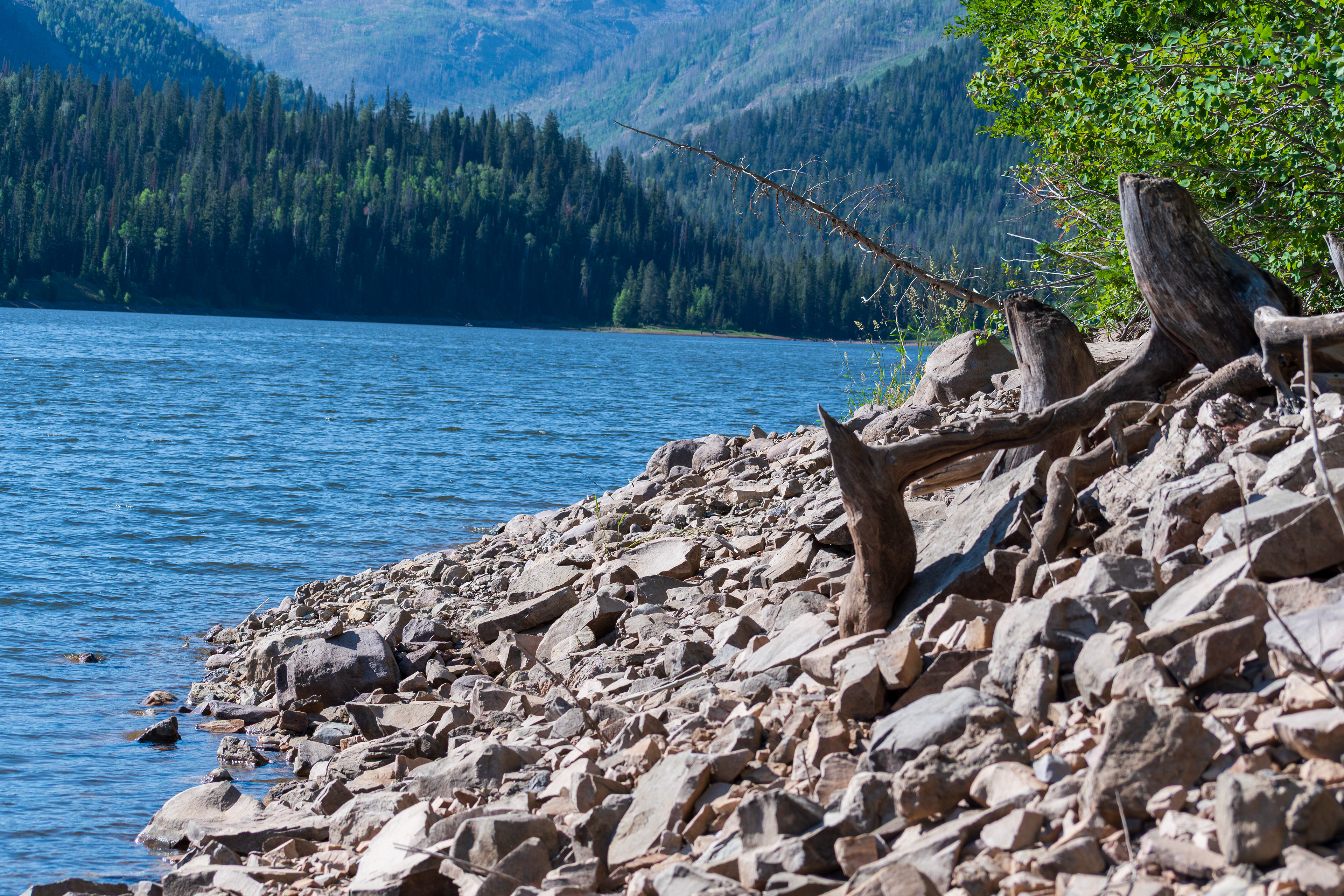 Summit County, Utah – July 20, 2025: A scenic view of Smith and Morehouse Reservoir with forested mountains rising in the background on a clear summer day.