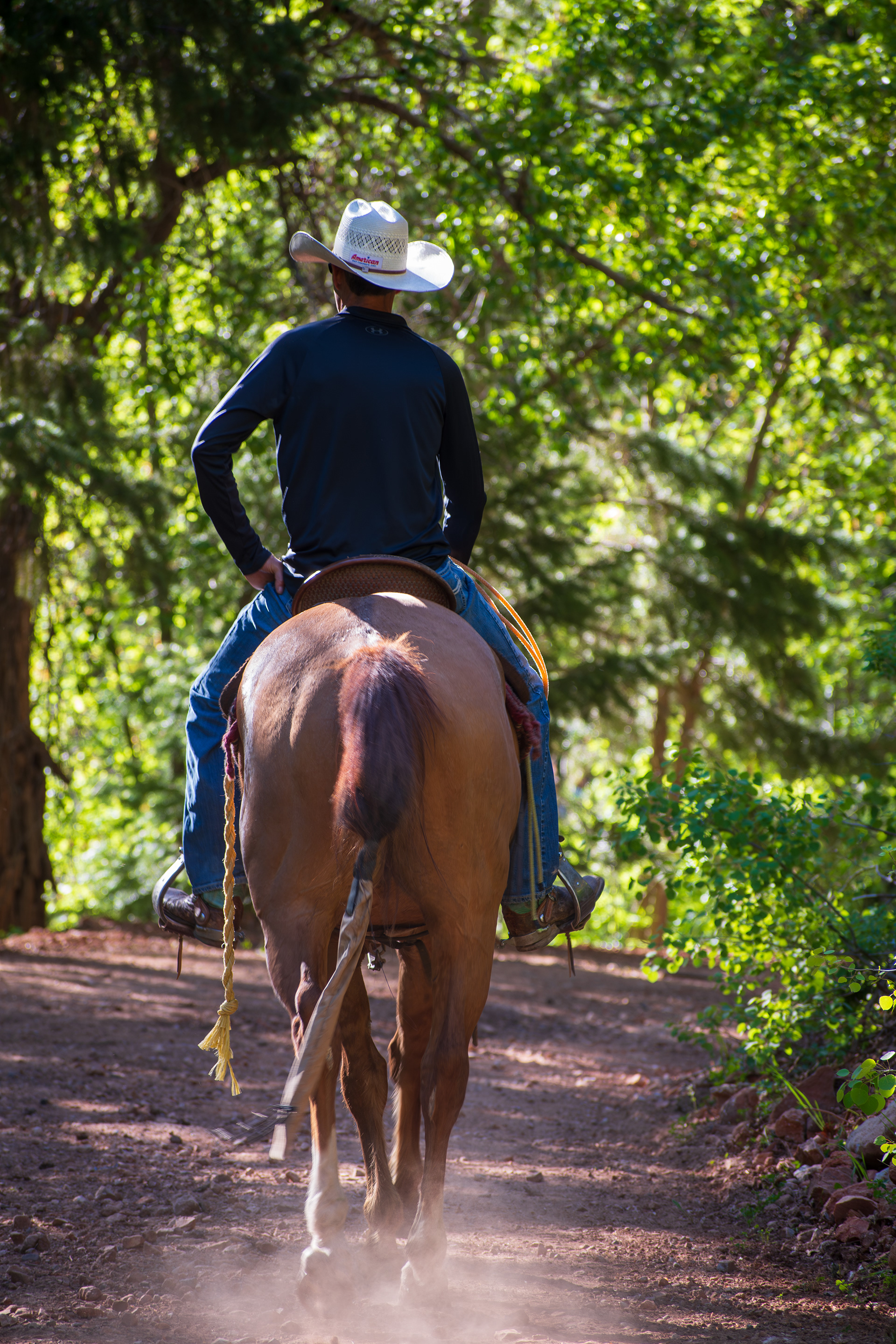 Santaquin Canyon, Utah – June 2, 2025: A cowboy rides horseback along a shaded forest trail in Santaquin Canyon, Utah. Dappled sunlight filters through dense summer foliage.
