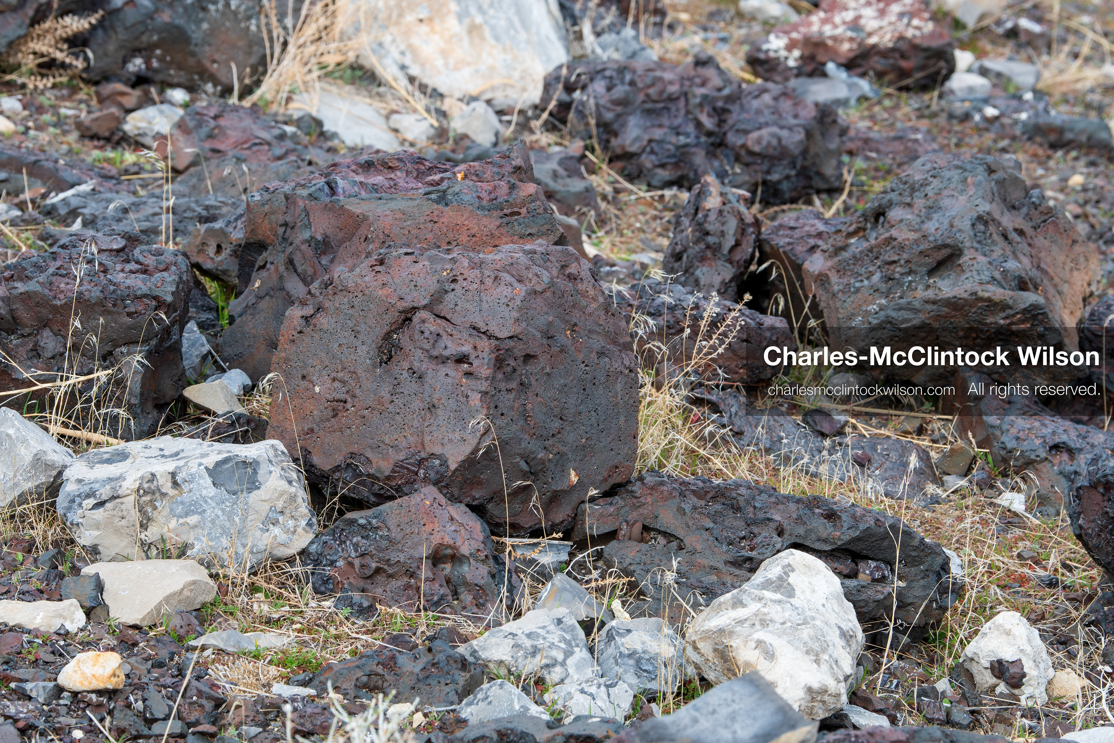 March 1, 2026, Great Salt Lake, Utah, USA: A person holds a rock along the shoreline of the Great Salt Lake as the region continues to experience historically low water levels. Reports from state officials and the Great Salt Lake Strike Team state that the lake remains in a serious adverse‑effects range, with elevations among the lowest recorded in more than one hundred years. The lake has drawn increased public attention as lawmakers consider large‑scale water projects and long‑term plans to address declining conditions. (Credit Image: © Charles‑McClintock Wilson/ZUMA Press Wire)