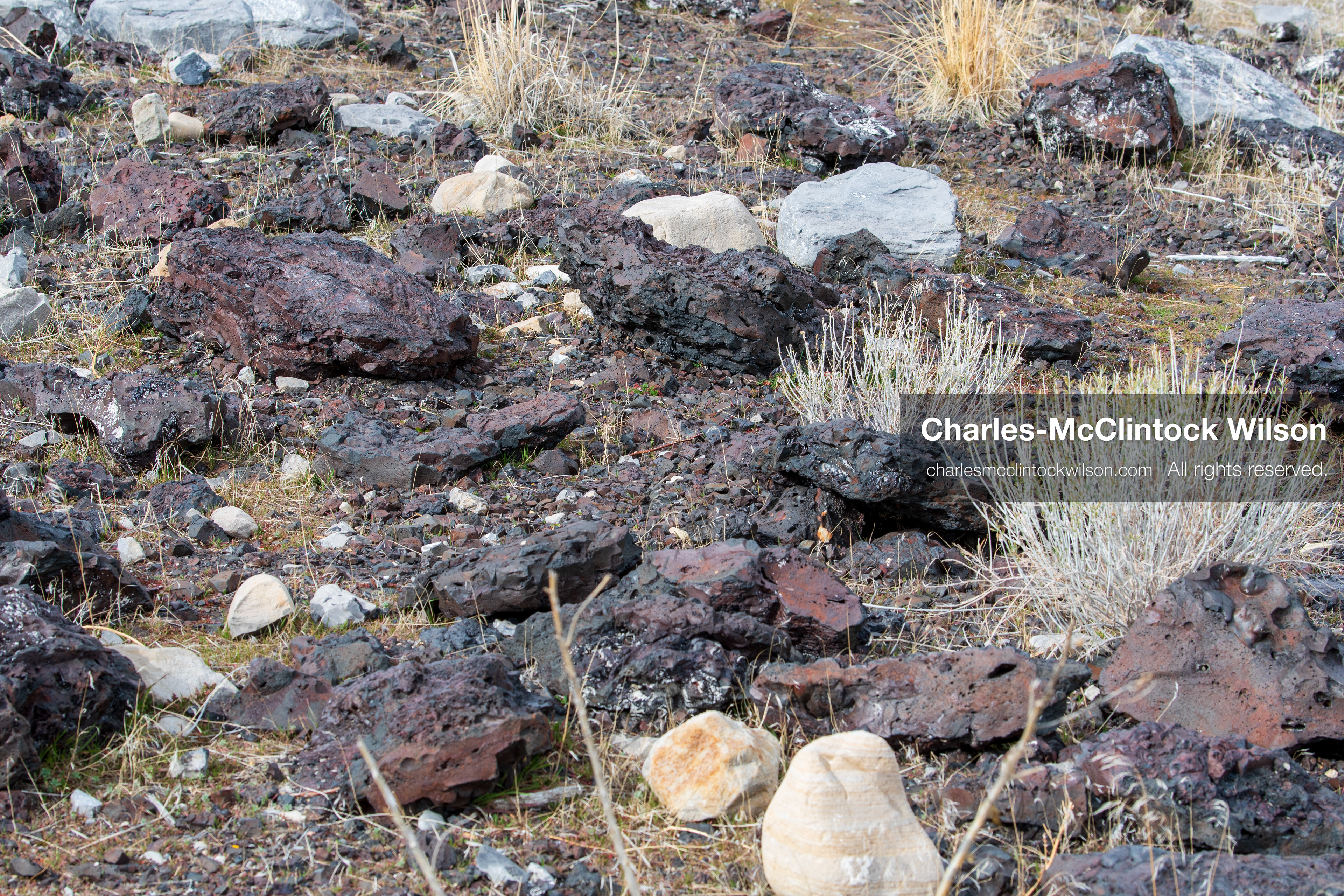 March 1, 2026, Great Salt Lake, Utah, USA: A person holds a rock along the shoreline of the Great Salt Lake as the region continues to experience historically low water levels. Reports from state officials and the Great Salt Lake Strike Team state that the lake remains in a serious adverse‑effects range, with elevations among the lowest recorded in more than one hundred years. The lake has drawn increased public attention as lawmakers consider large‑scale water projects and long‑term plans to address declining conditions. (Credit Image: © Charles‑McClintock Wilson/ZUMA Press Wire)