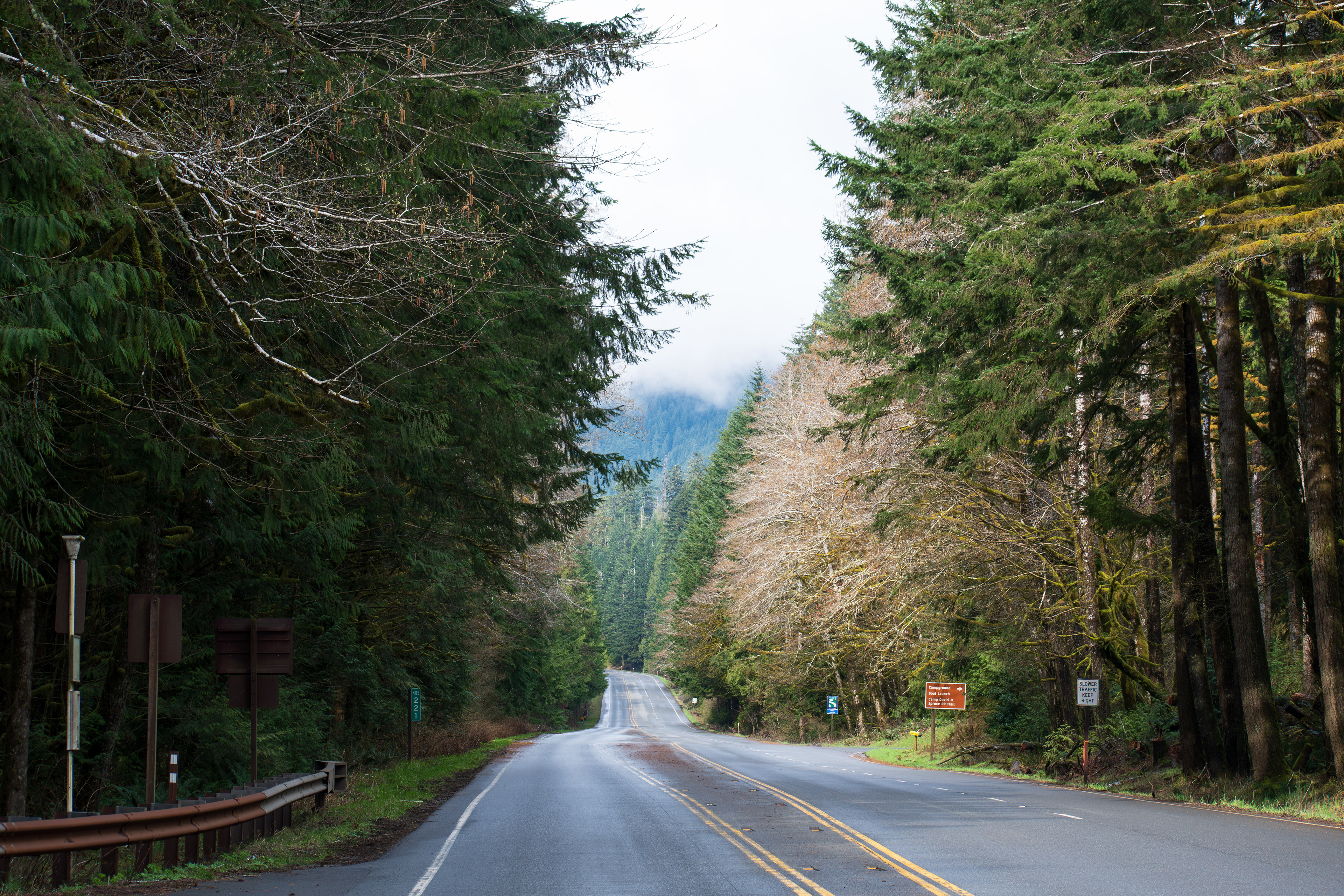 PORT ANGELES, WA, USA - APR 12, 2025: Empty U.S. Route 101, or U.S. Highway 101 running through the middle of Hoh Rain Forest in Olympic National Park on the Olympic Peninsula of Washington state. 
