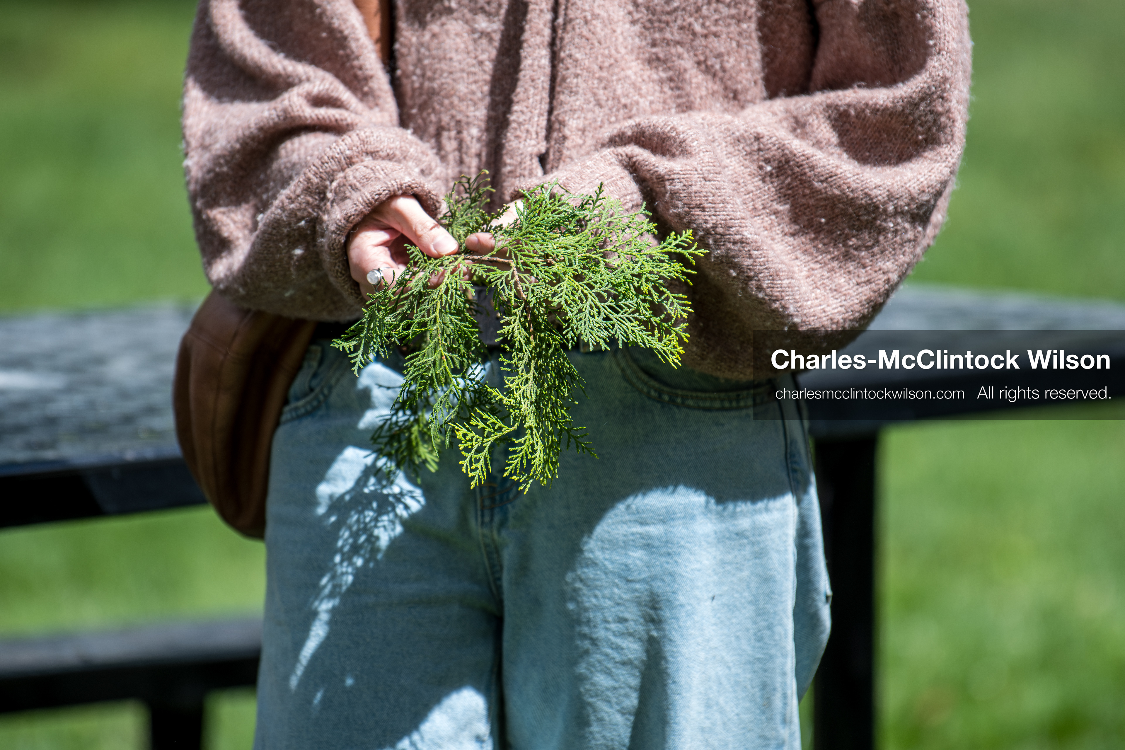 April 22, 2026, Salt Lake City, Utah, USA: A participant holds plant cuttings during an Earth Day event hosted by Sunrise University of Utah at the Salt Lake City and County Building. The gathering brought together students, community members, and speakers to highlight sustainability issues affecting Utah. (Credit Image: © Charles-McClintock Wilson/ZUMA Press Wire)