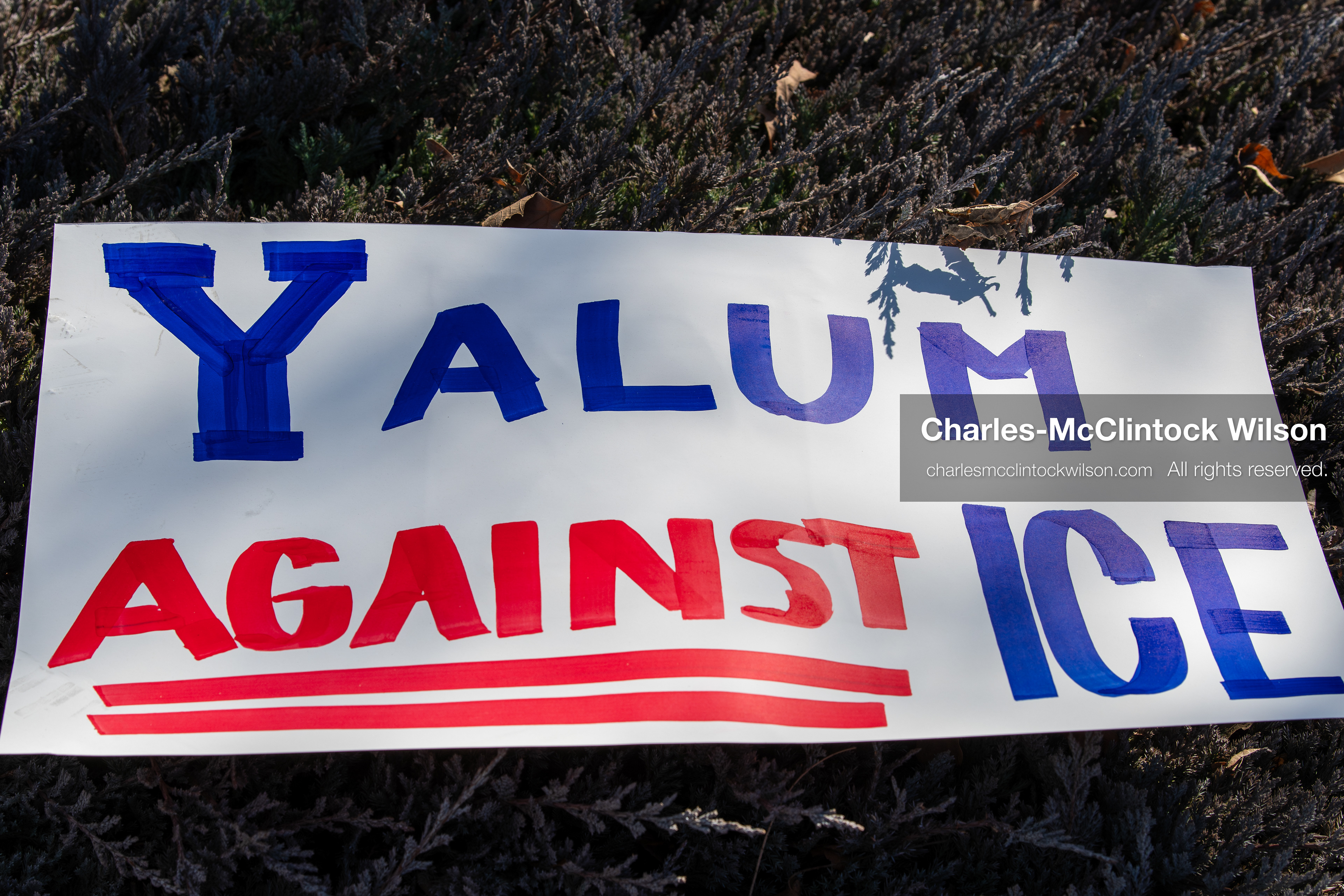 February 5, 2026, Provo, Utah, USA: A protest sign lies on the ground near Brigham Young University in Provo during a protest opposing the presence of US Customs and Border Protection recruiters at a career fair held at the university. (Credit Image: © Charles McClintock Wilson/ZUMA Press Wire)