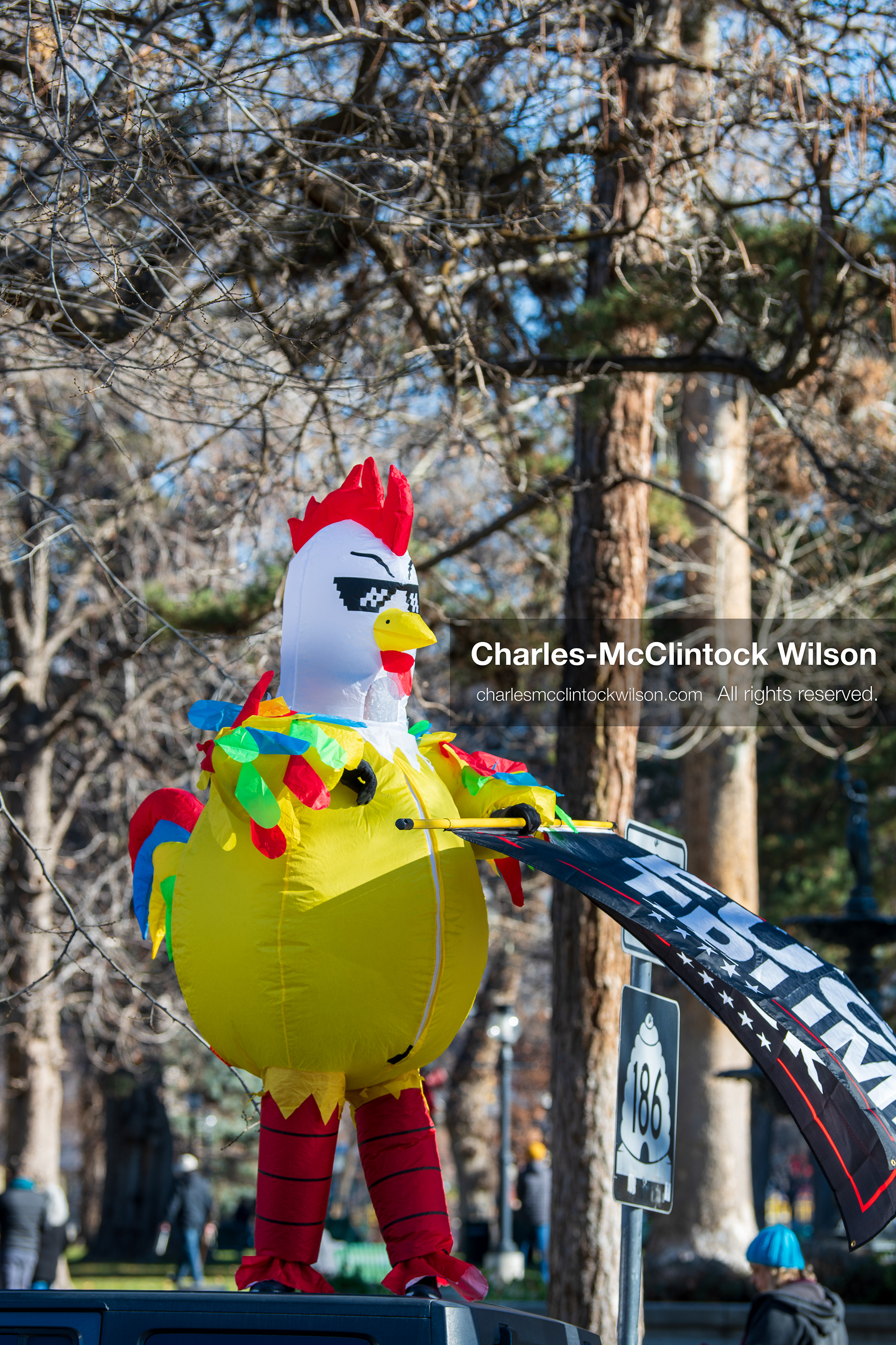 Salt Lake City, Utah, January 10, 2026: A person wearing a chicken costume stands on top of a vehicle during the ICE Out for Good protest at Washington Square Park, holding two flags with anti‑ICE and anti‑Trump messaging. (Credit Image: © Charles‑McClintock Wilson/ZUMA Press Wire)