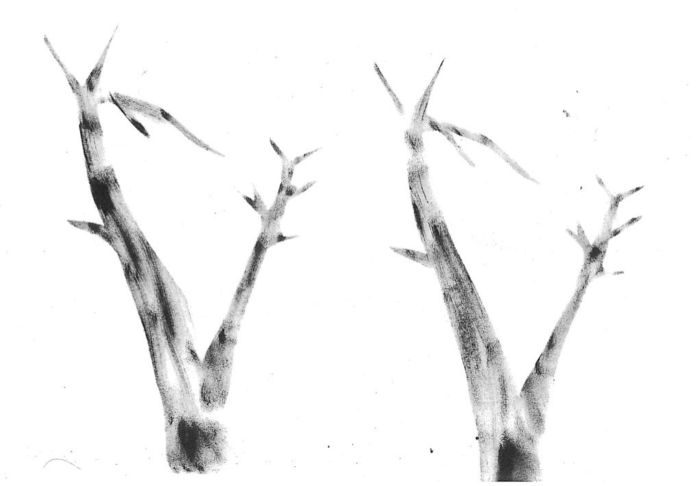 the trin trees