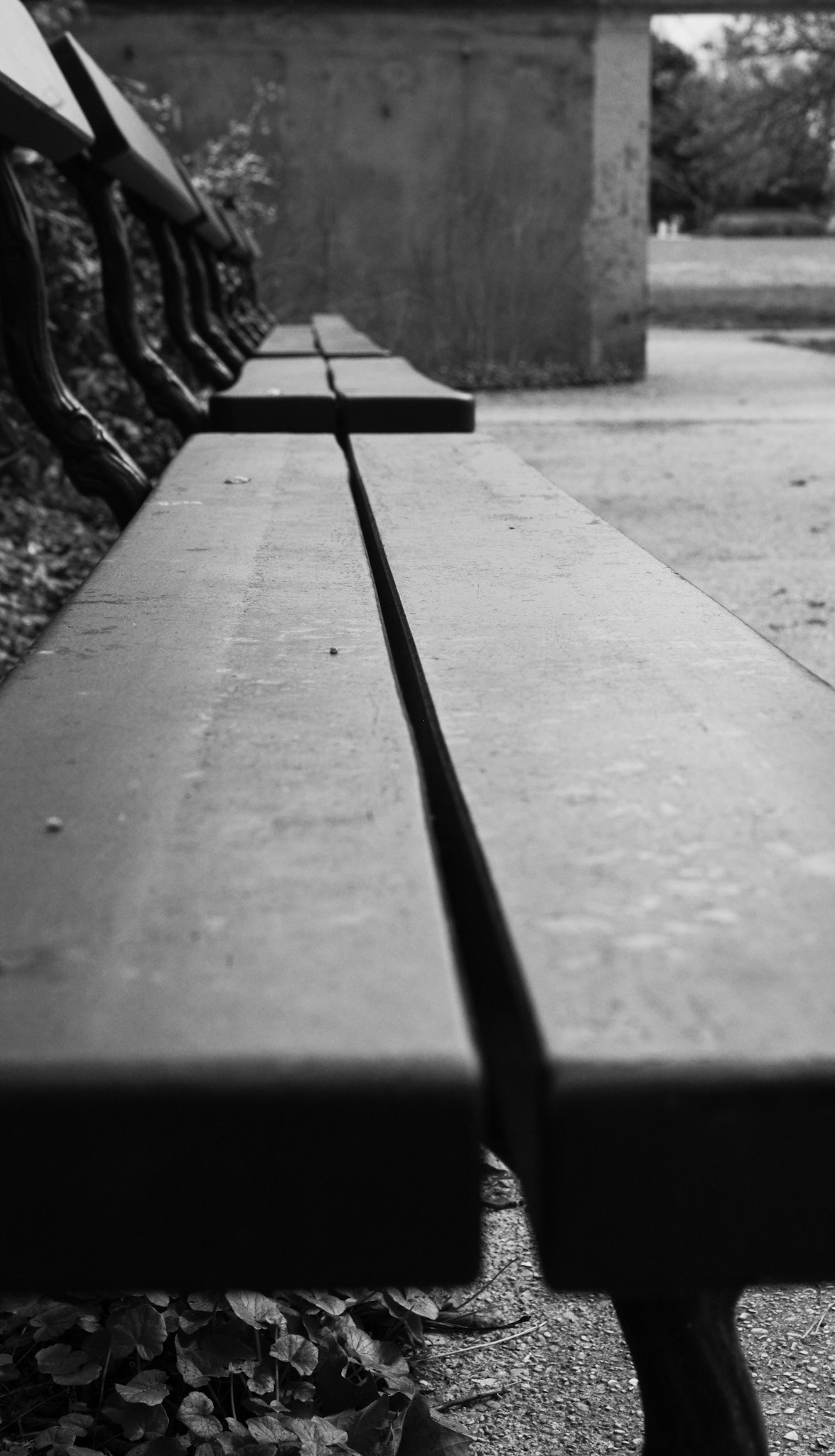 Ligne de fuite
