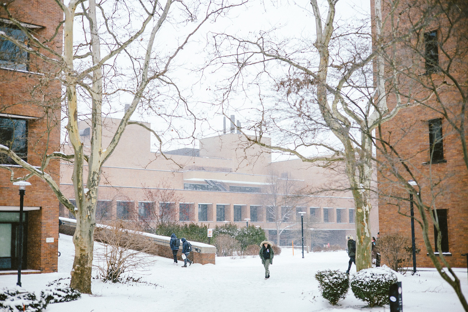 Winter commute through the RIT campus in Rochester, New York on January 19, 2024.