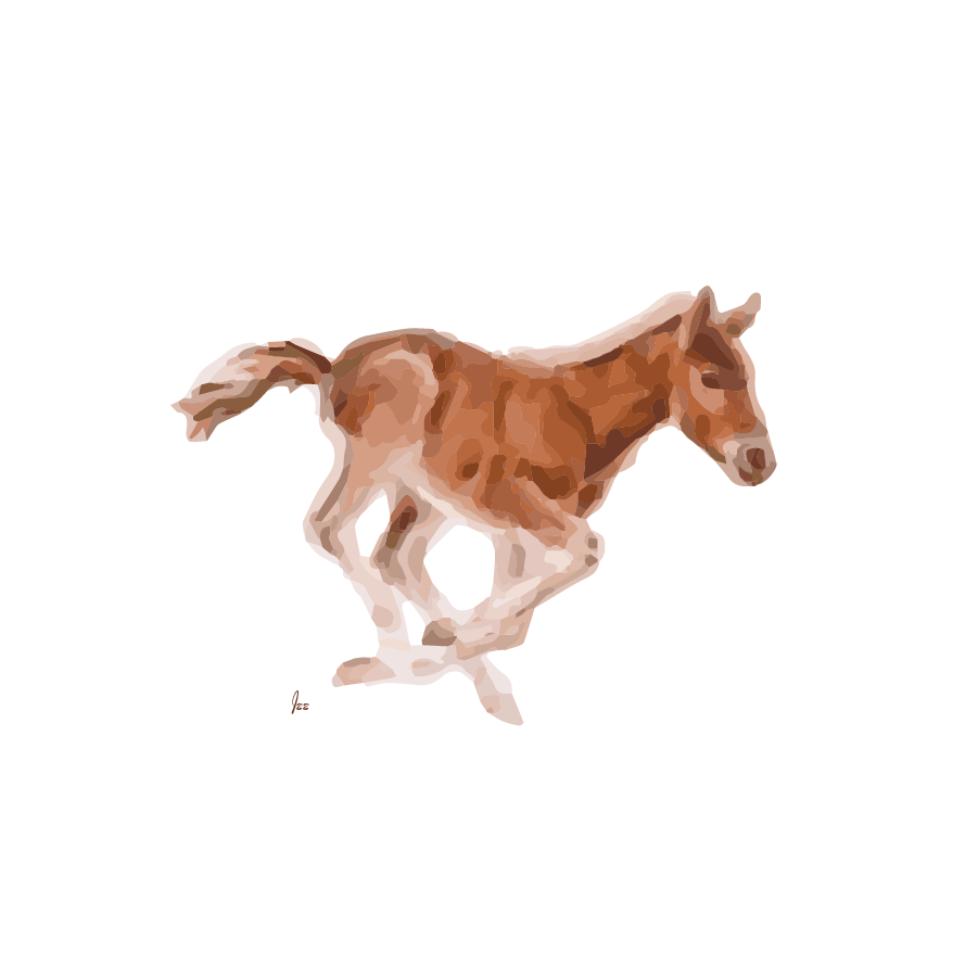 Reference: Ann Richardson Photo