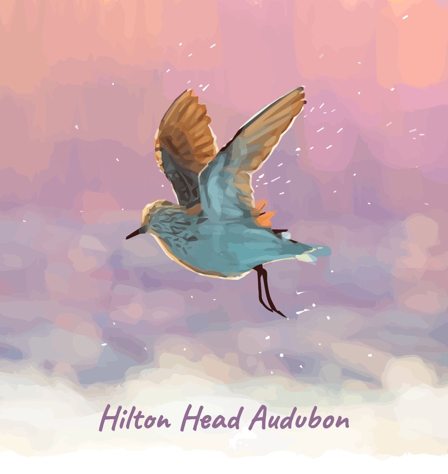 Least Sandpiper Flying over Water at Sunrise