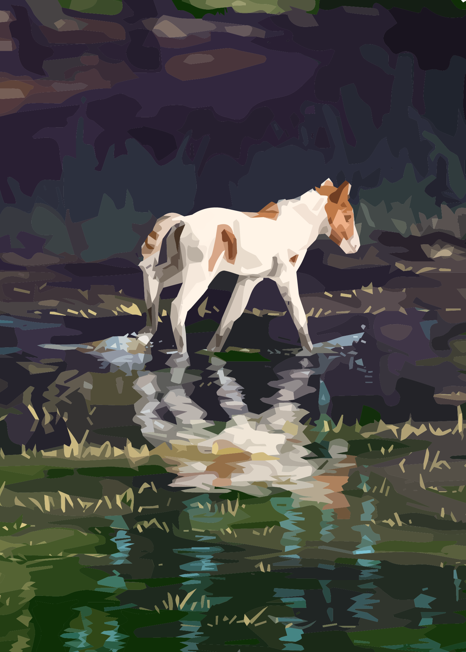 Anne Bonny's Filly. Reference photo by DSC Photography.