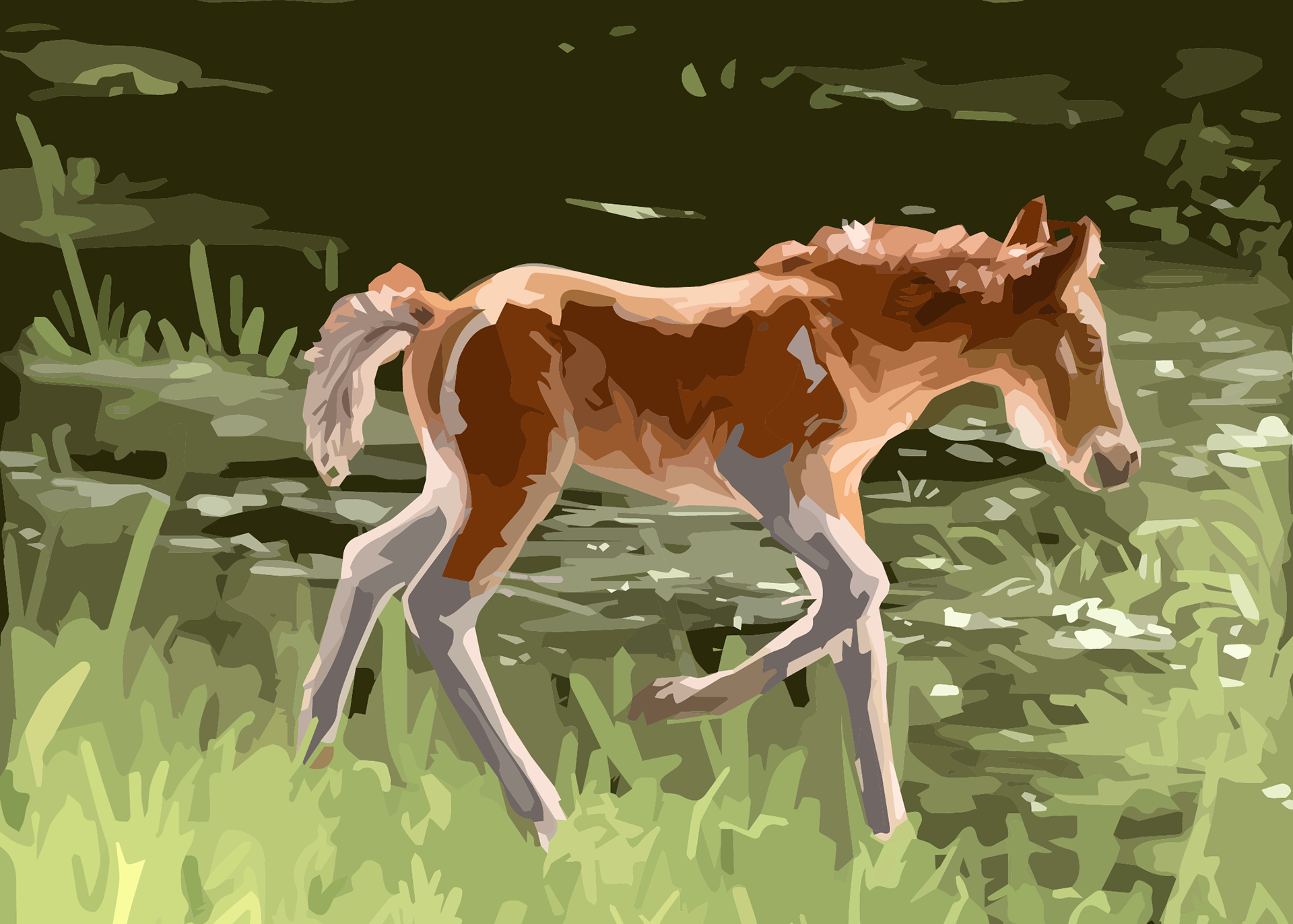 CJ Samm'n's Filly. Reference photo by DSC Photography.