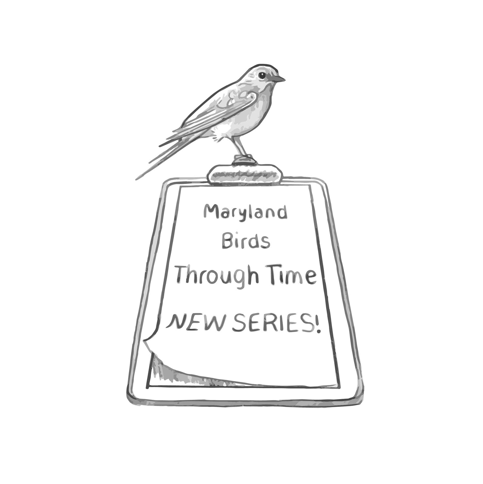 Graphic for Maryland Ornithological Society newsletter.