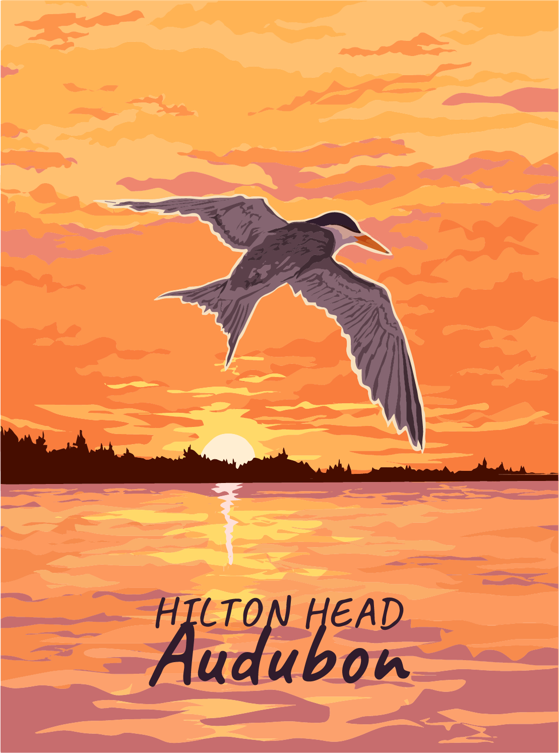 Least Tern Flies During Sunset
