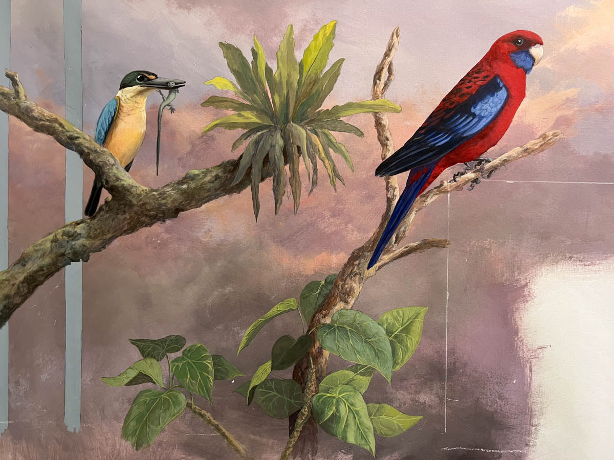 Crimson Rosella (Platycercus elegans) They typically inhabit open woodland areas and feed on seeds, fruit, and insects. It has been observed engaging in anting behavior, where they rub ants onto their feathers, possibly to rid themselves of parasites or to gain some other benefit from the ant secretions.