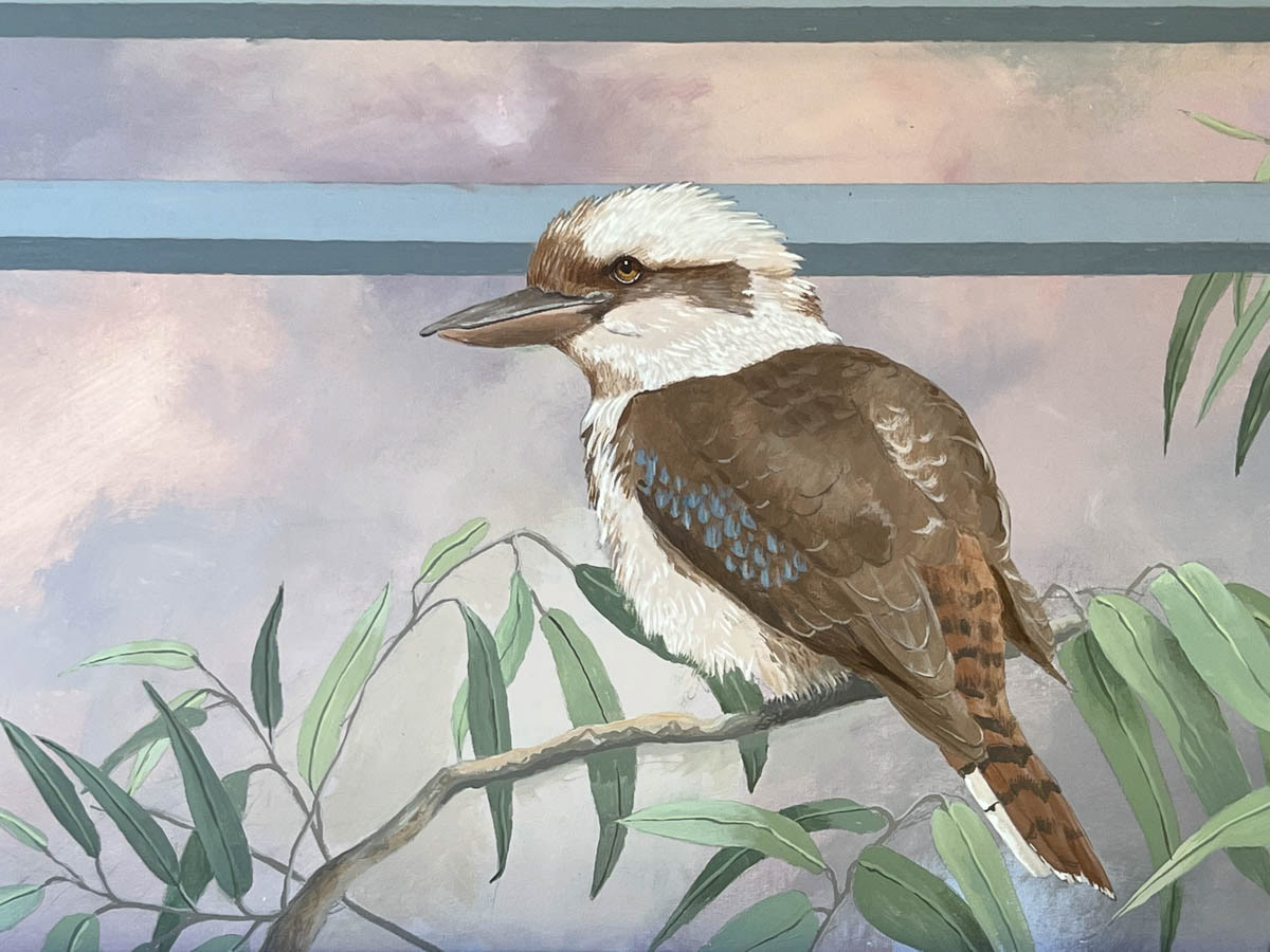 Kookaburra