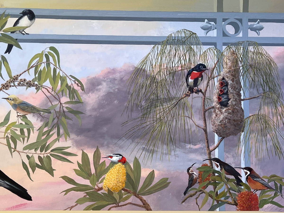 Mistletoe Bird (Dicaeum hirundinaceum) feeding and nesting in a wo