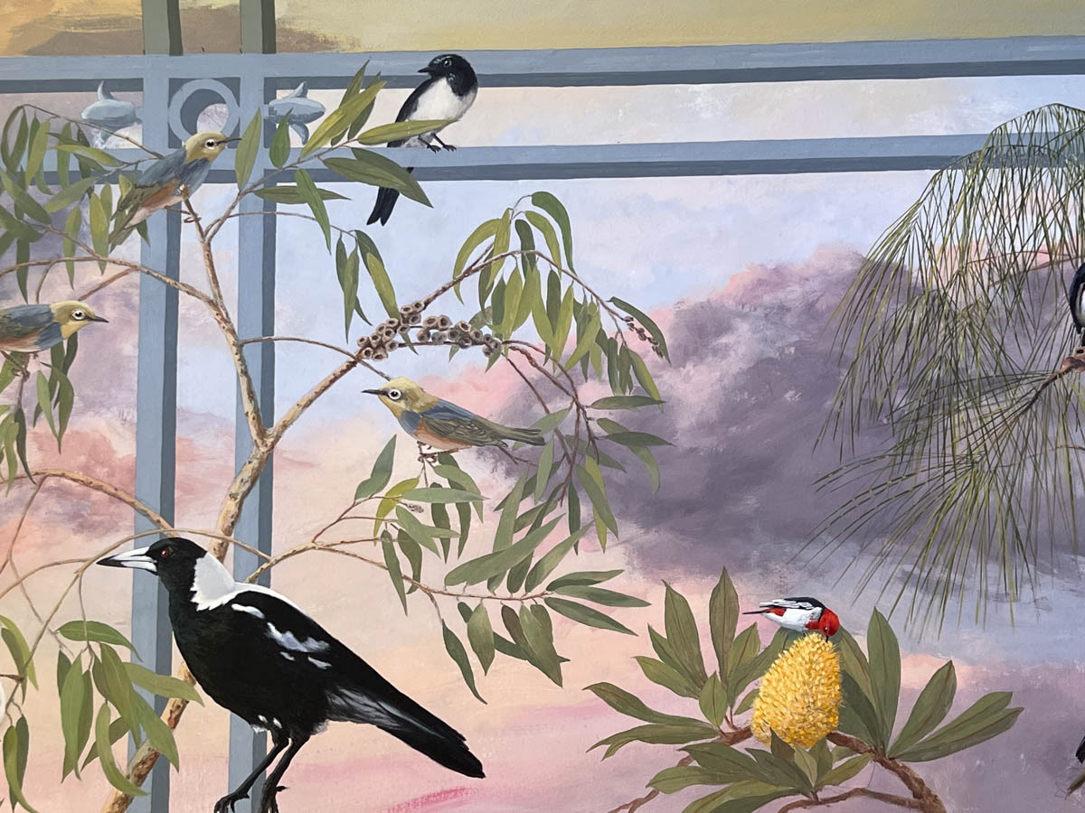 Magpie (Cracticus tibicen) , Willy Wagtail (Rhipidura leucophrys), Silver Eye and Scarlet Honey Eater on a banksia