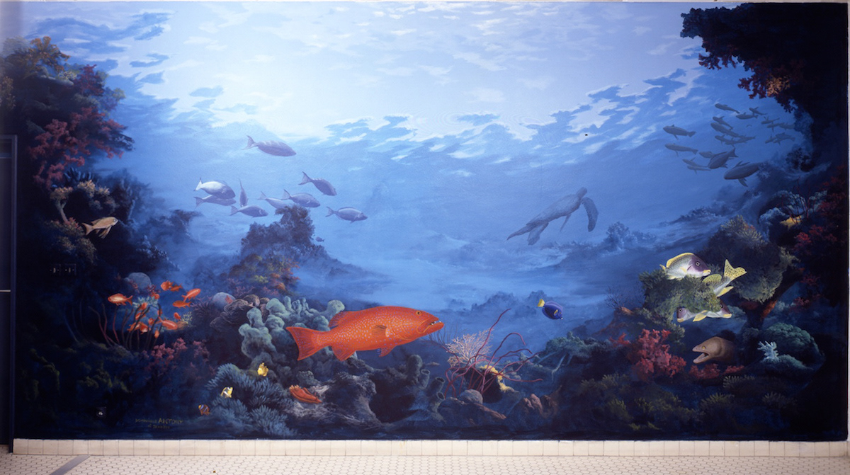 Underwater landscape. Paris