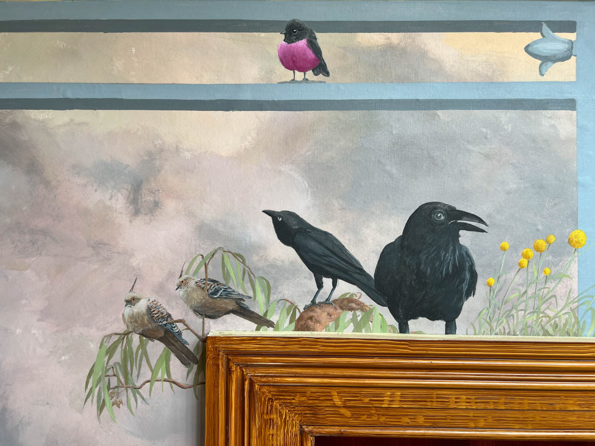 Crested Pigeon (Ocyphaps lophotes) and Australian Raven (Corvus coronoides)