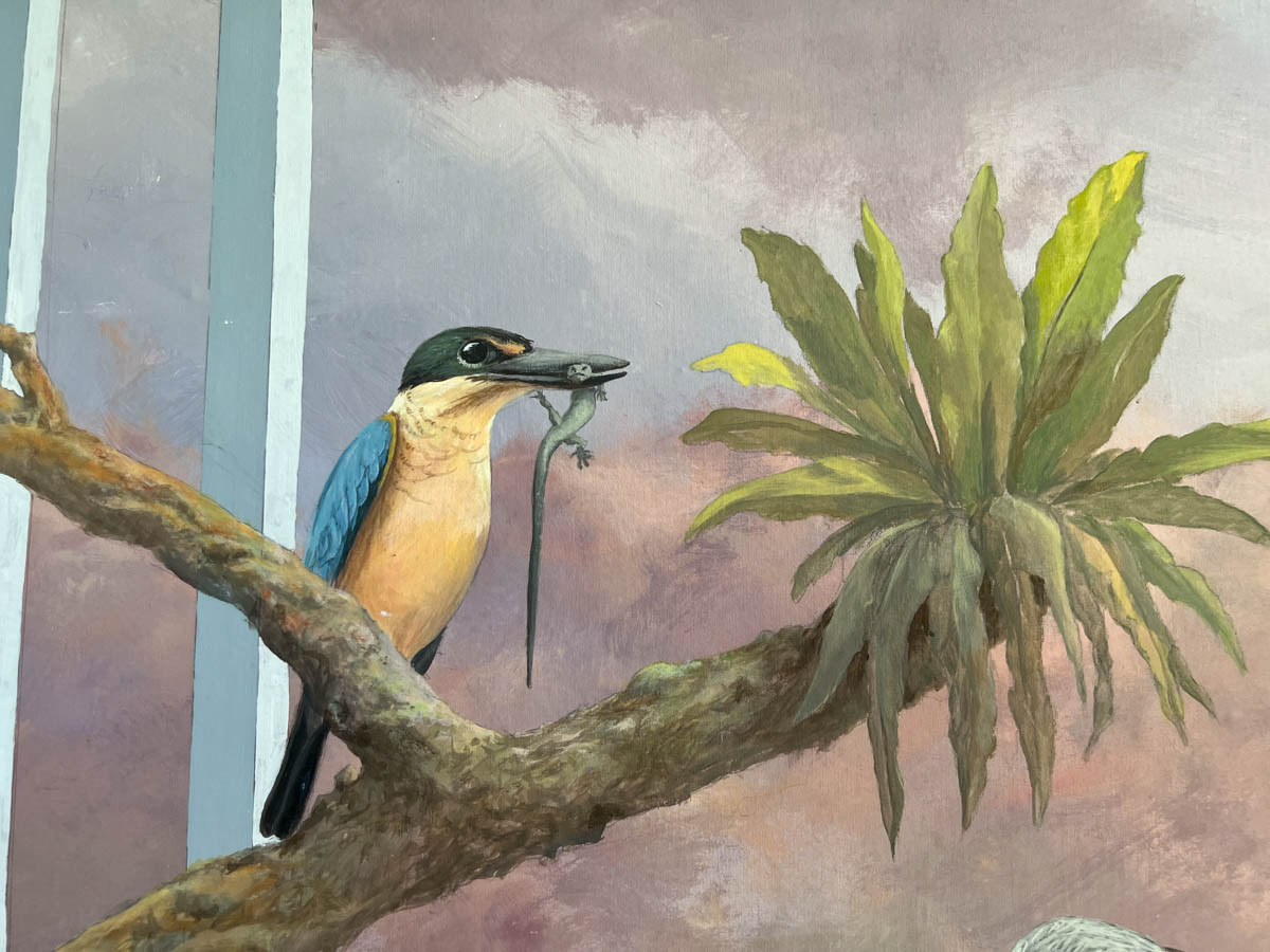Sacred Kingfisher (Todiramphus sanctus)