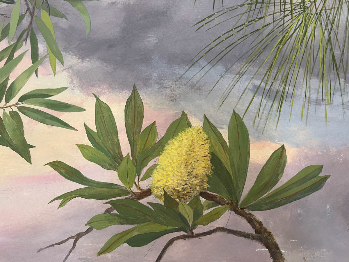 Banksia