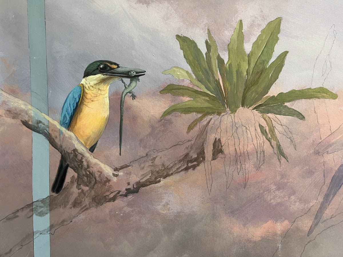 The sacred kingfisher (Todiramphus sanctus)