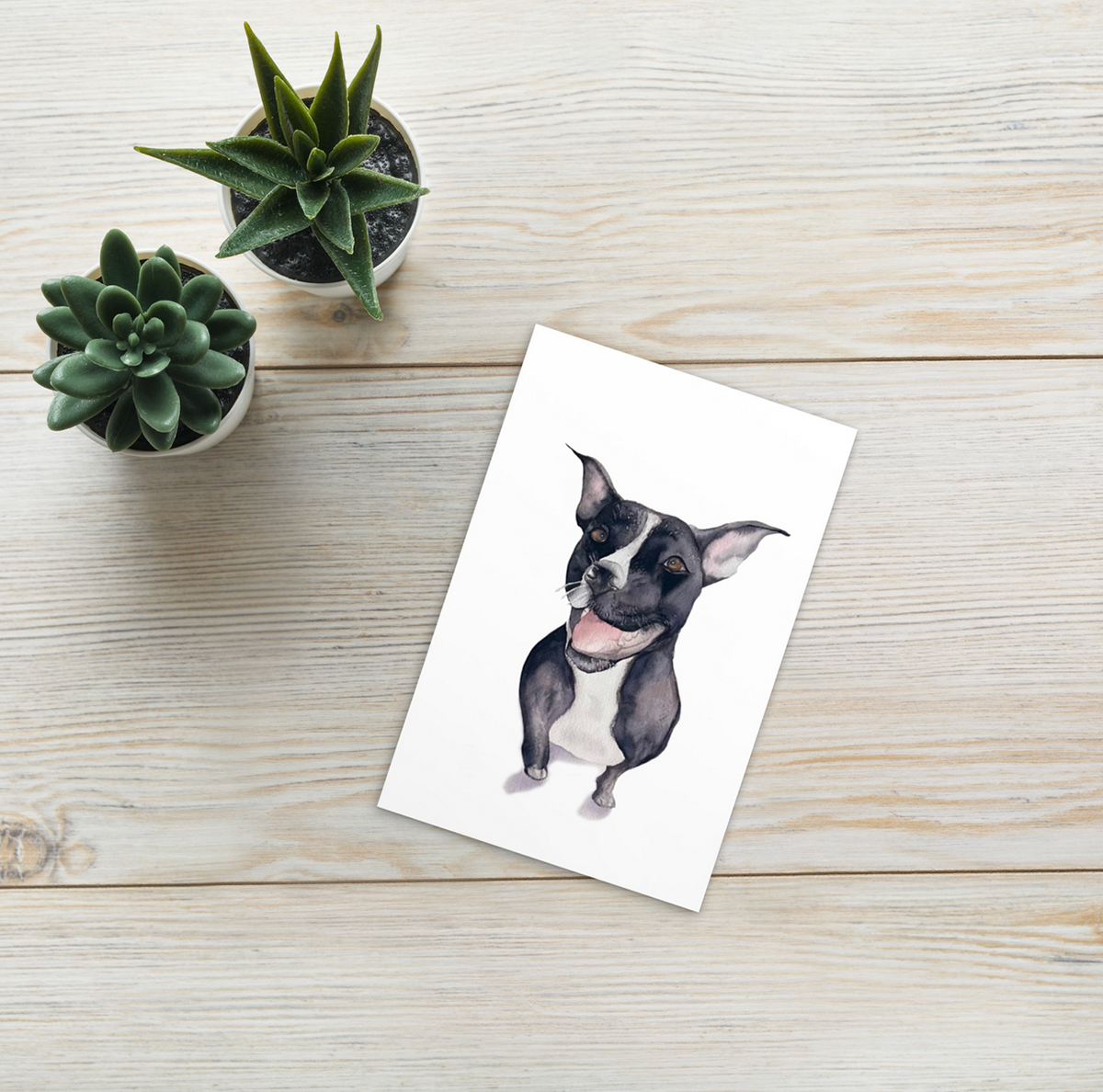 Postcard - 5 pack - $15.00
