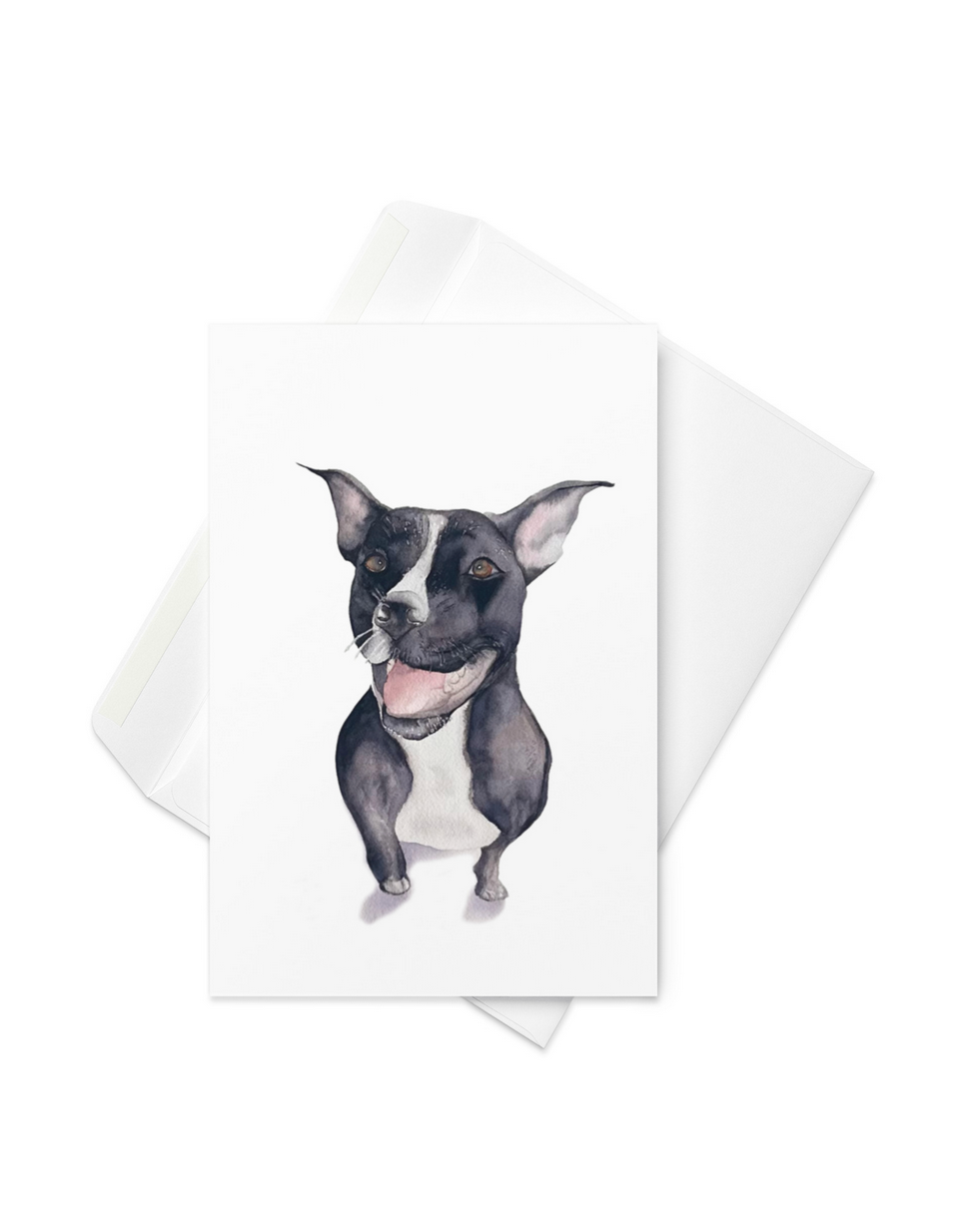 Card & envelope - 5 pack - $23.50
