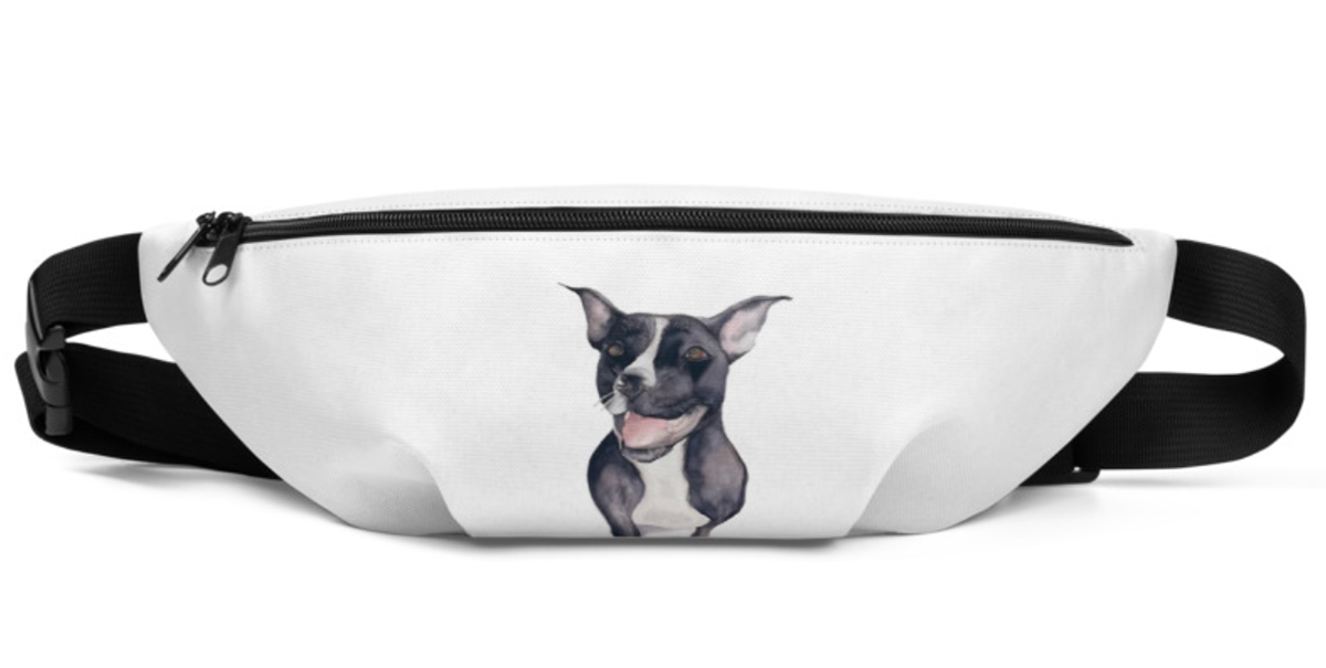 Fanny pack - $38.00