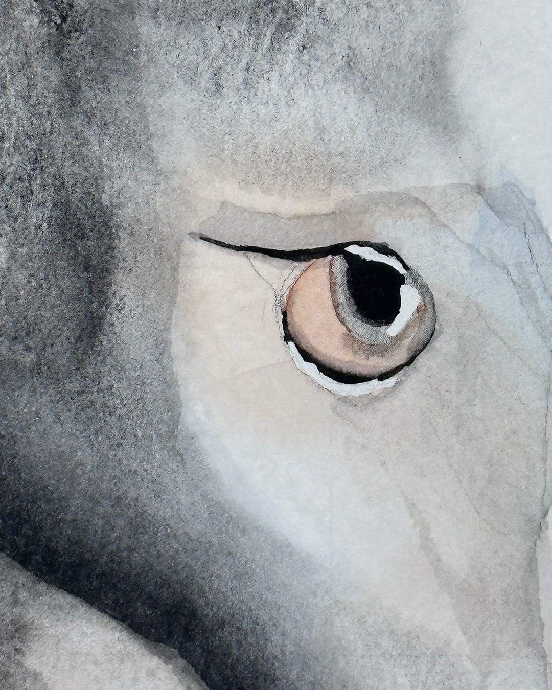 Eye detail