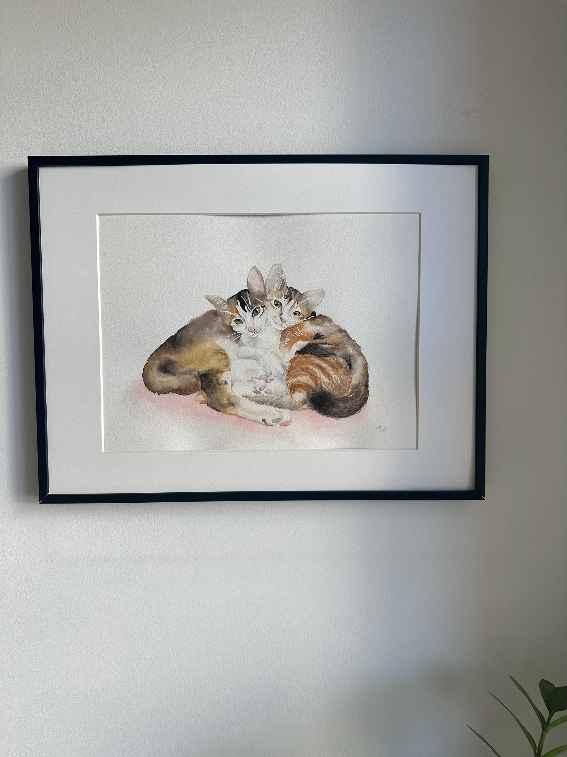 Kittens Luna Nova Framed