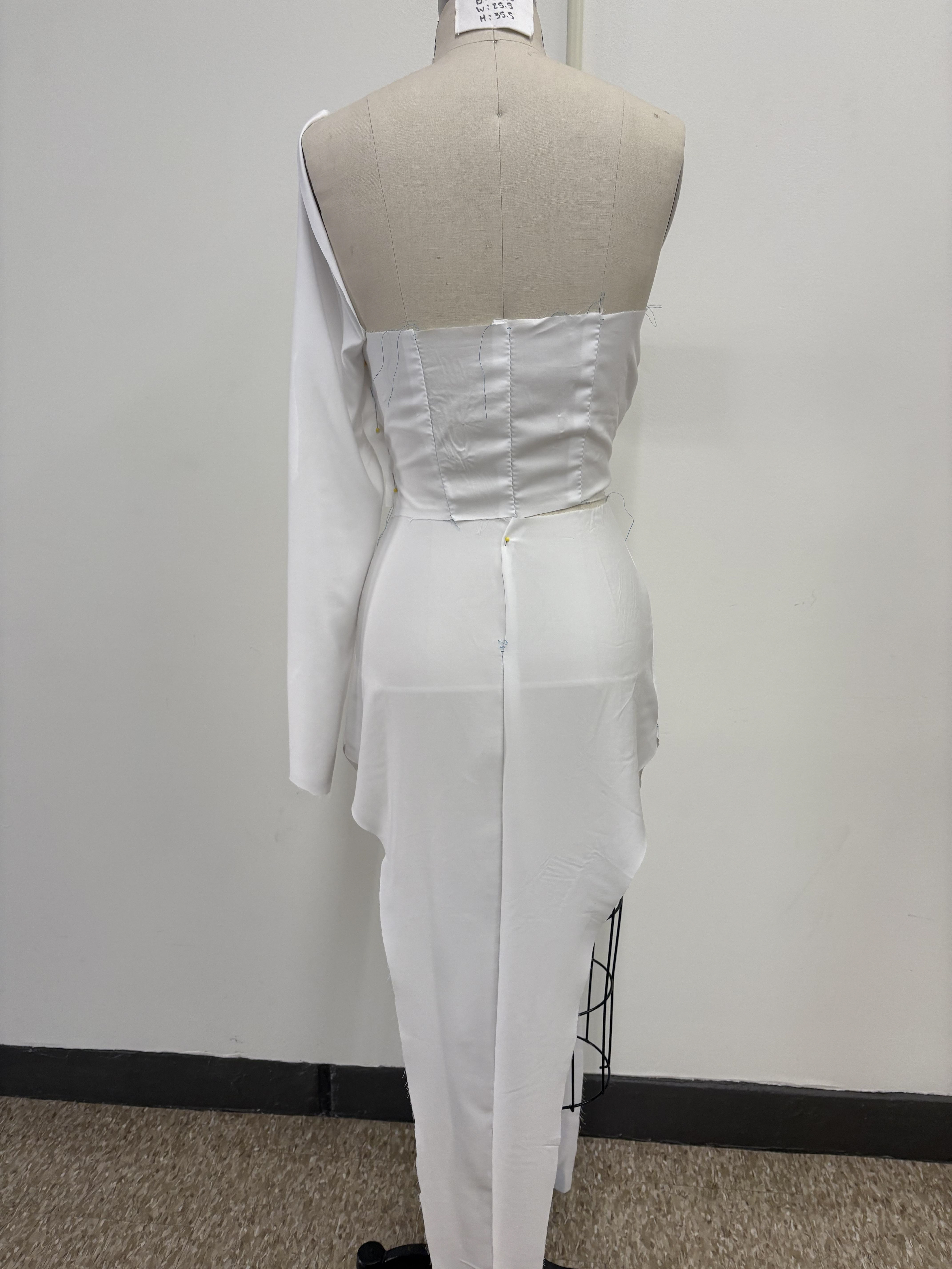 Mockup Back