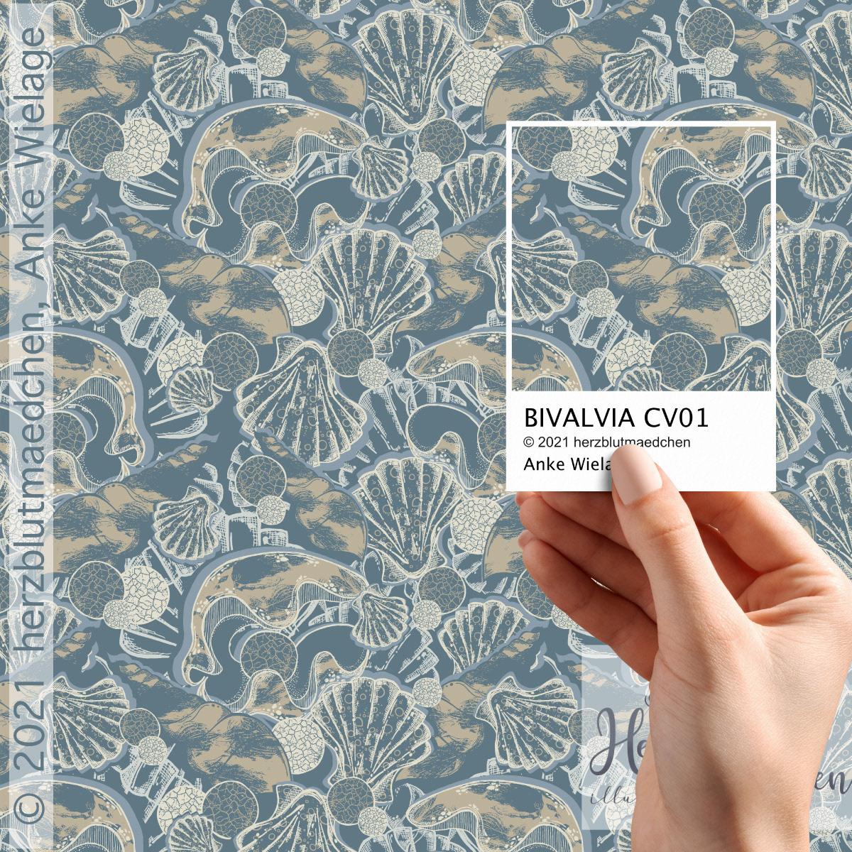 BIVALVIA CV01 as a vector design with 5 colors